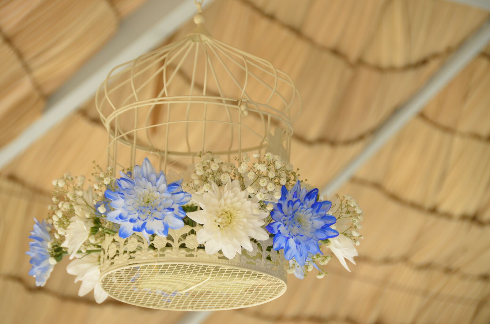 Nikon D7000 sample photo. Summer elements, beach umbrella photography