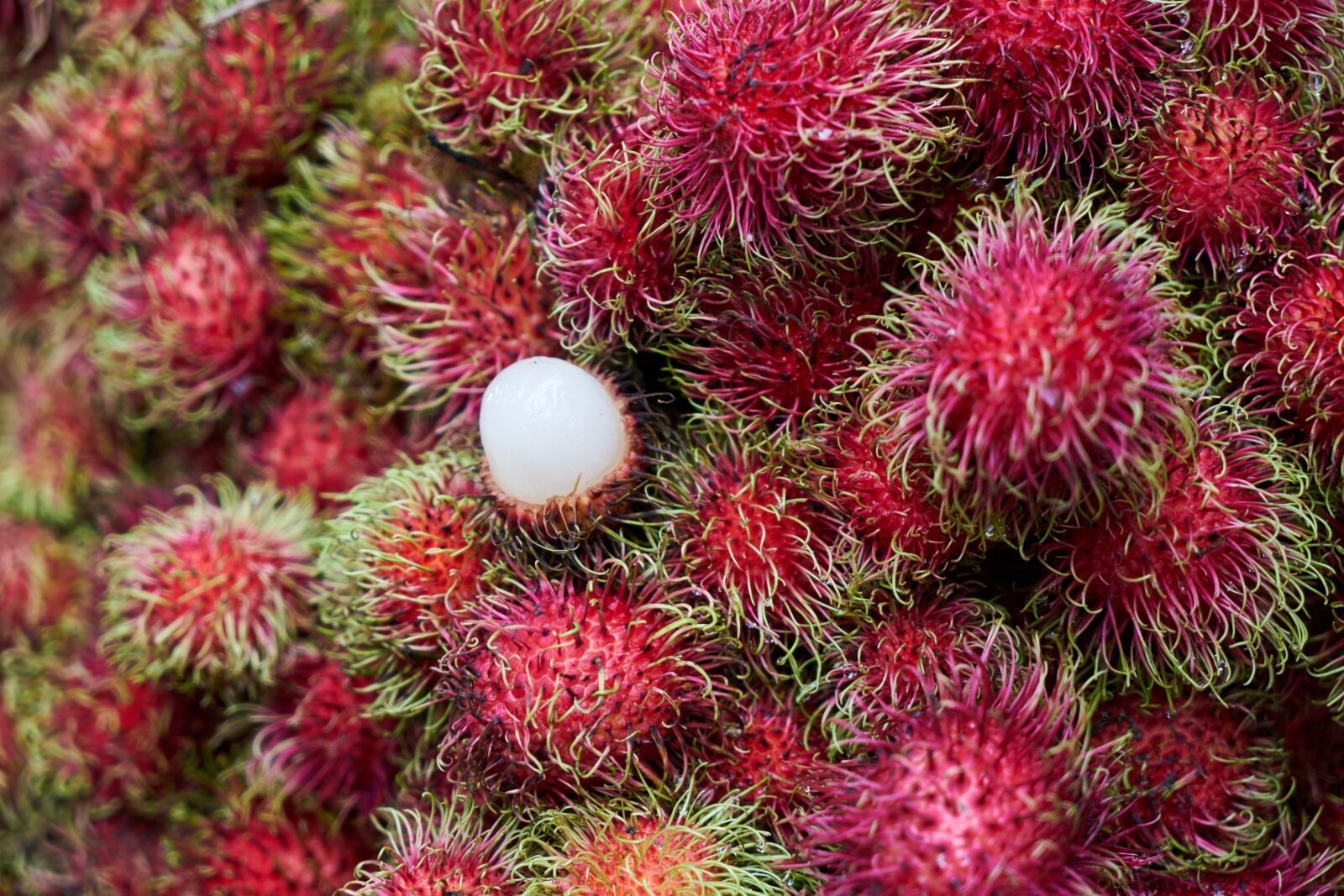 Sony a7R II sample photo. Fruit, tropical, rambutan photography
