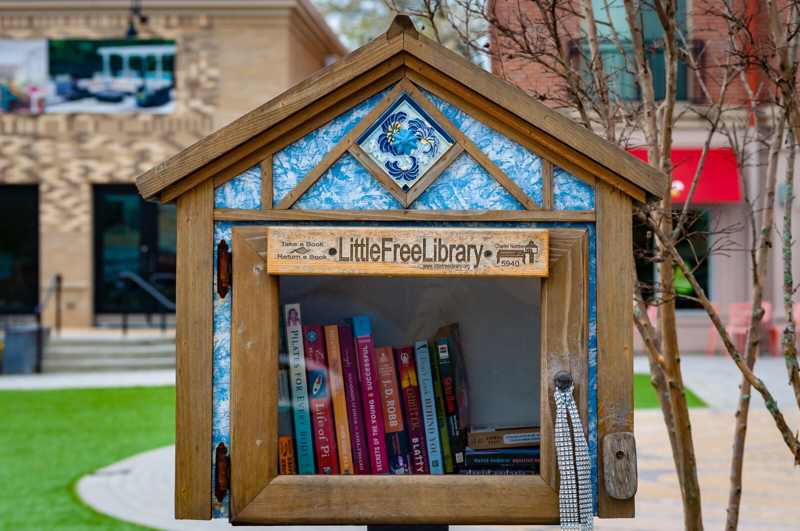Nikon D5000 sample photo. Books, learning, reading photography