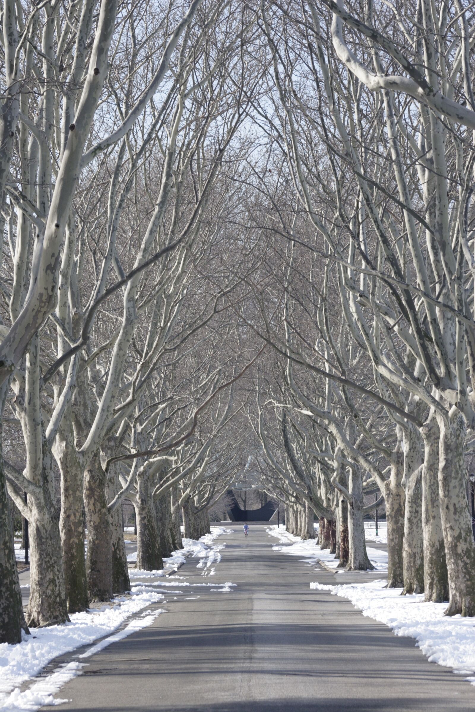 Canon EOS 20D sample photo. Tree lined, flushing meadow photography