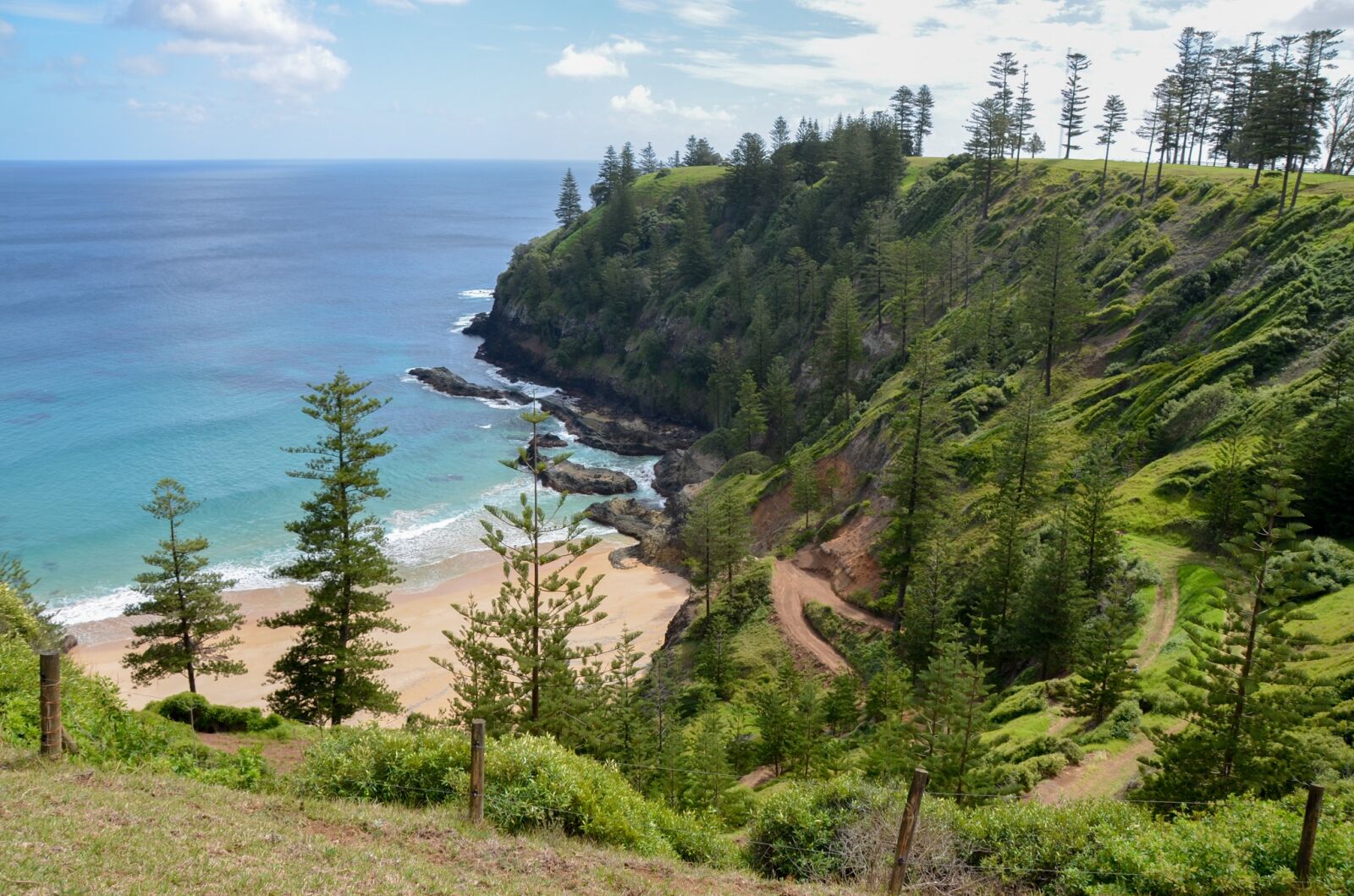 Nikon D5100 sample photo. View, scenery, coast photography
