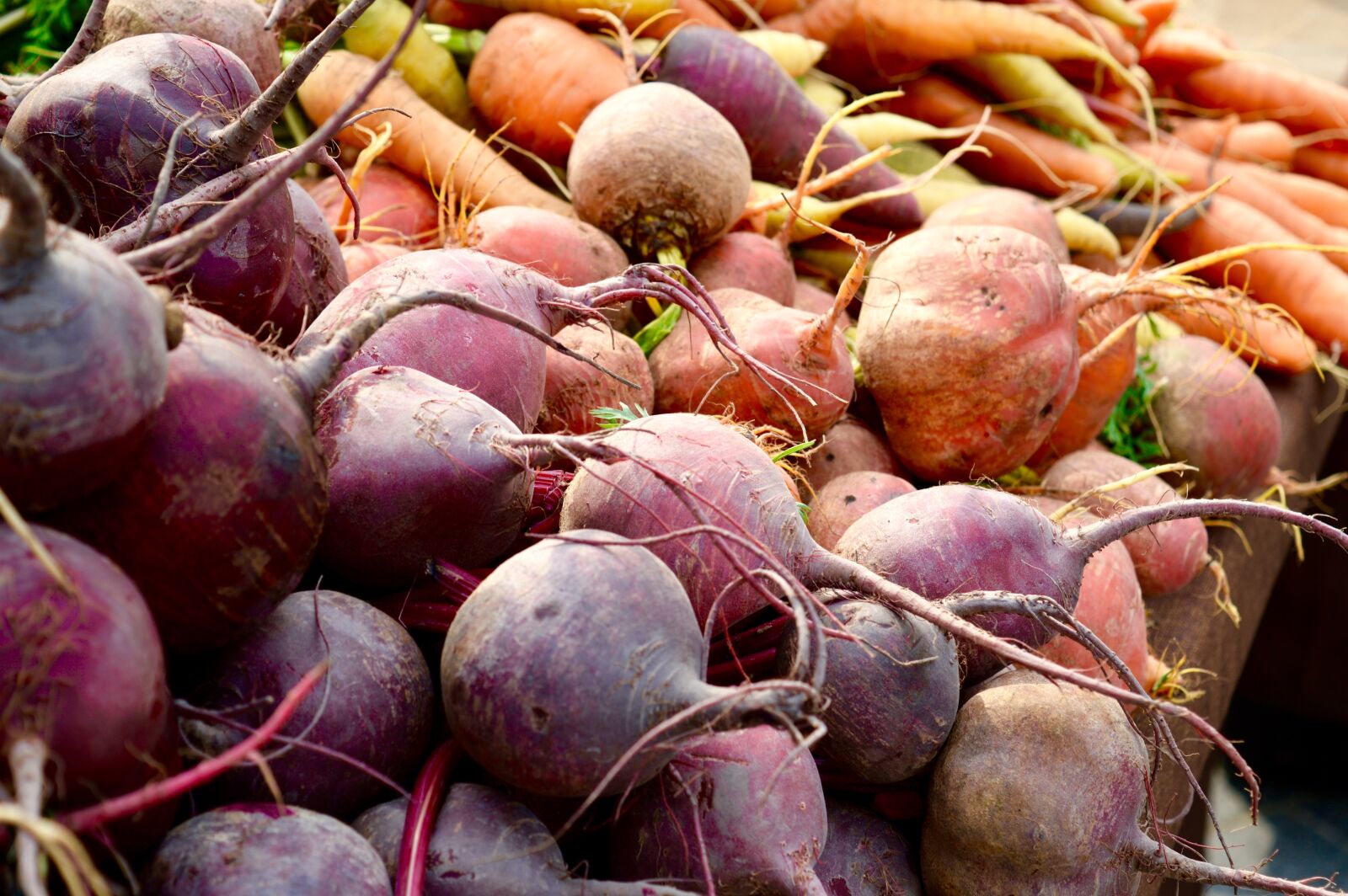 Nikon D3200 sample photo. Vegetables, farmer's market, beets photography