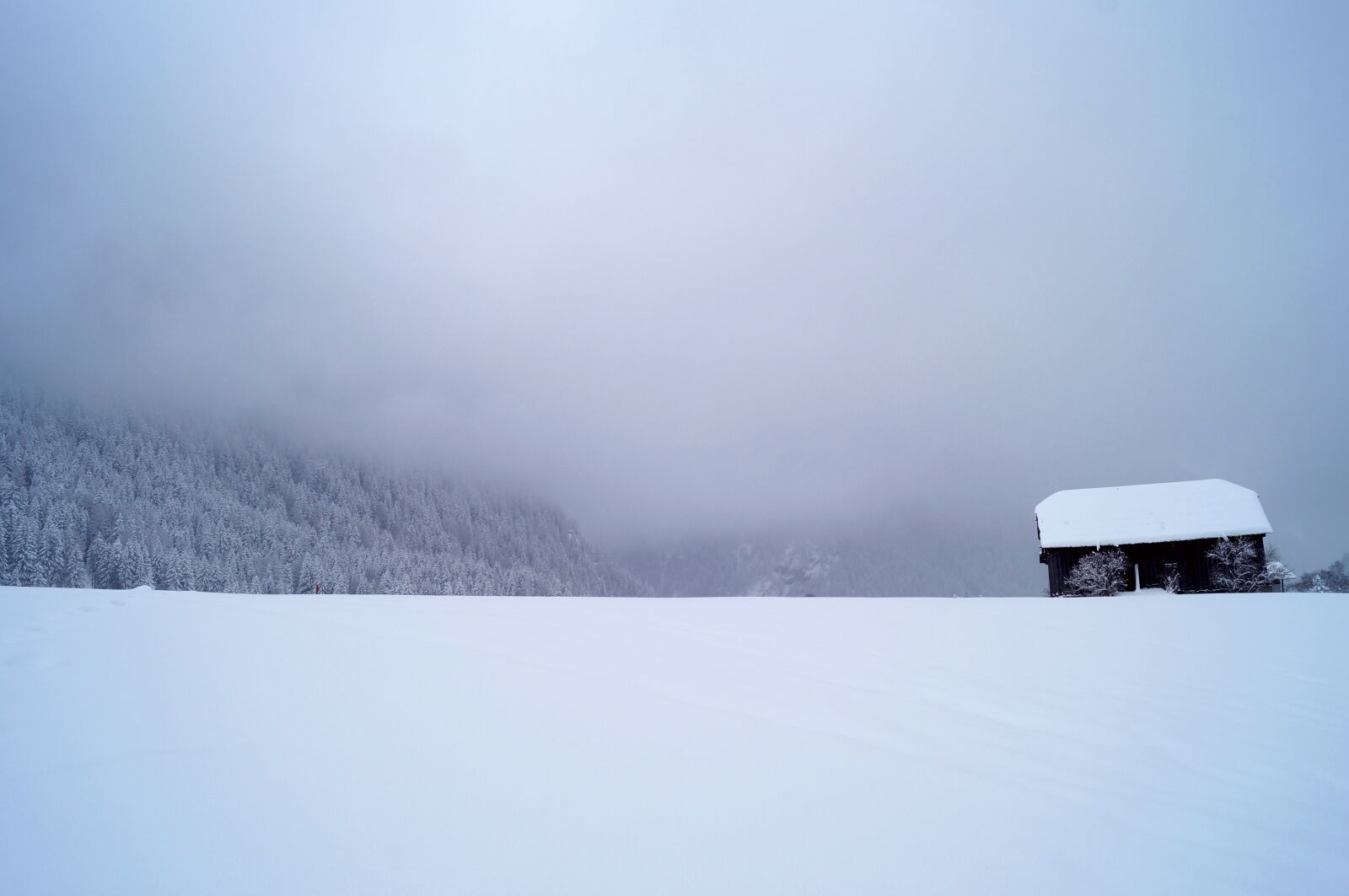 Sony SLT-A57 sample photo. Winter, ski, winter sports photography