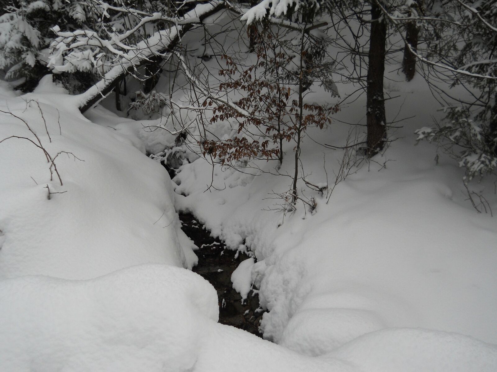 Nikon Coolpix L22 sample photo. Winter, snow, mountains photography