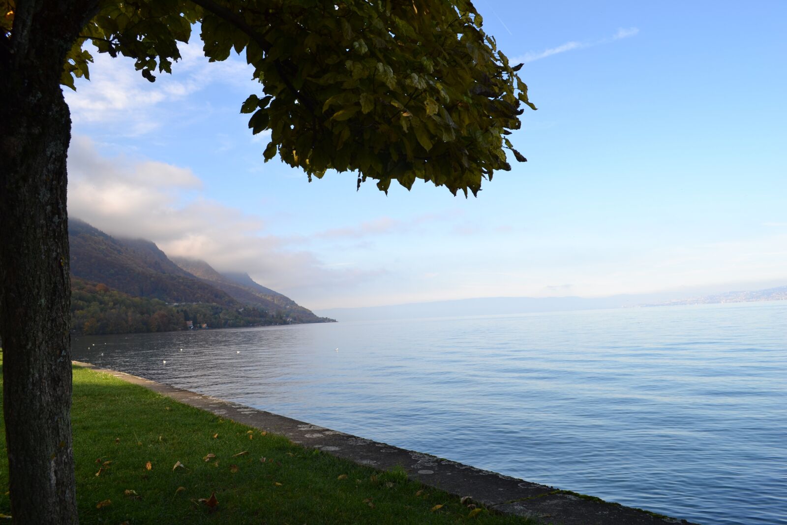 Nikon D3100 sample photo. Switzerland, swiss, nature photography