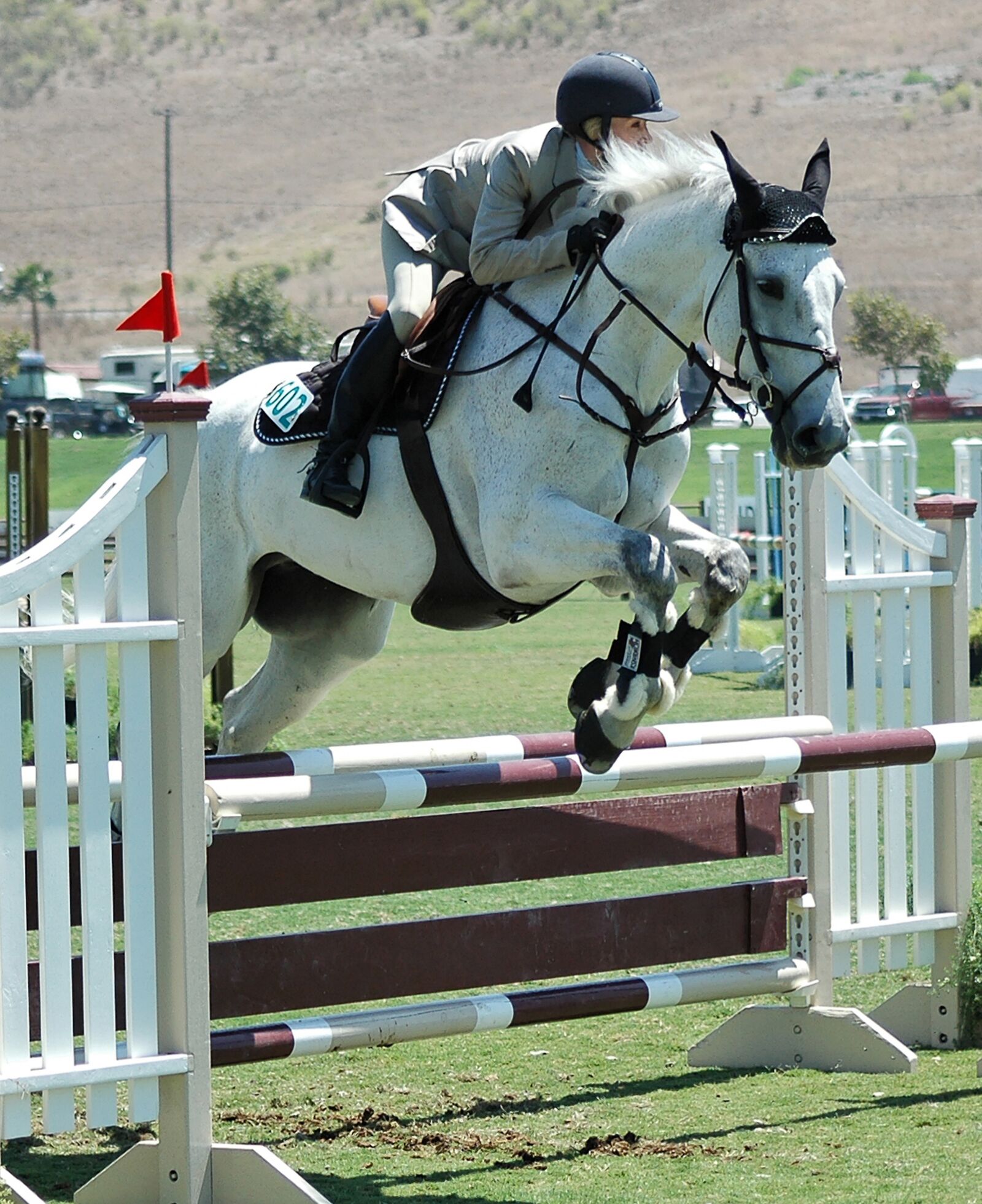 Nikon D70s sample photo. Horse, horses, horseback photography