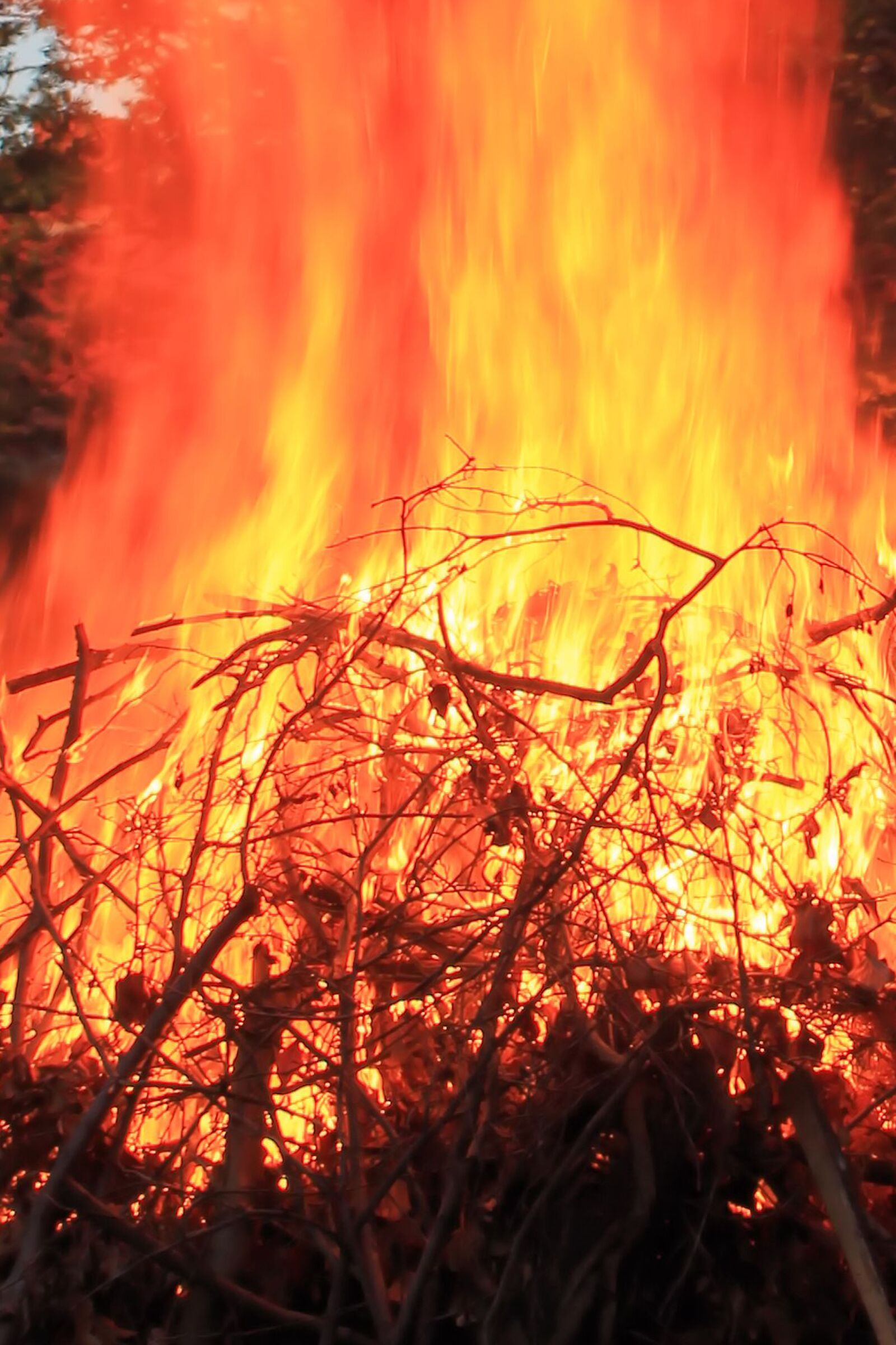 Canon EOS 1100D (EOS Rebel T3 / EOS Kiss X50) sample photo. Fire, flame, burn photography