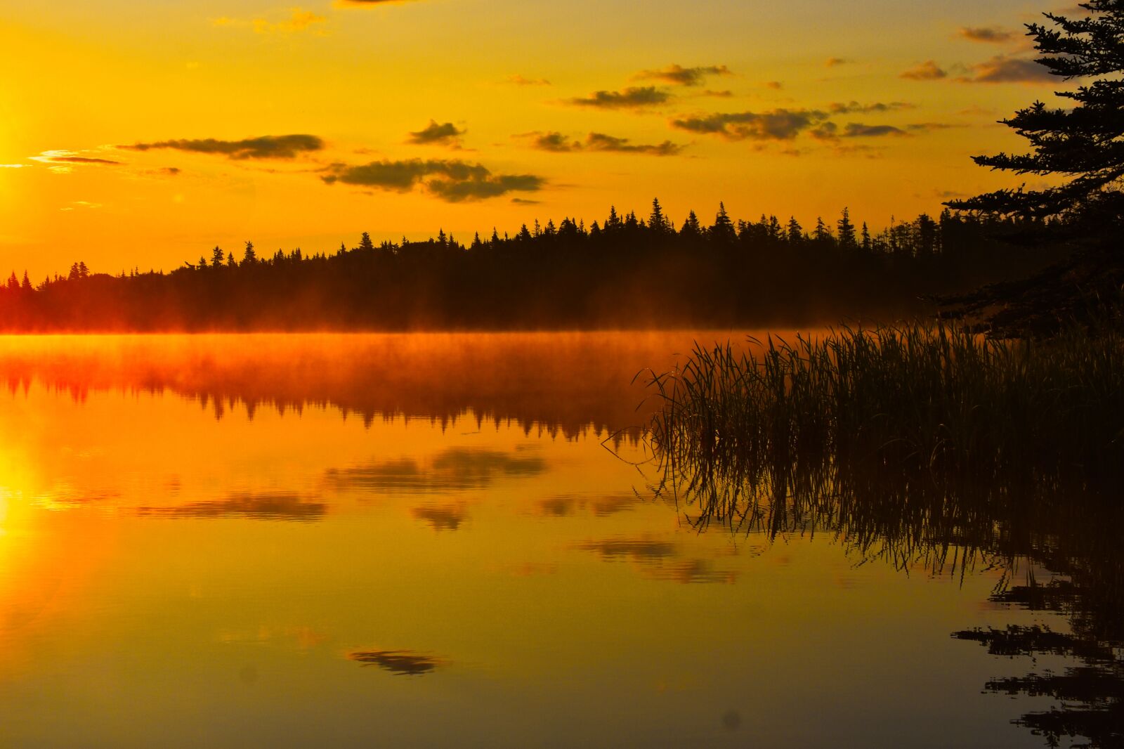 Nikon D3400 sample photo. Canada, lake, ocean photography