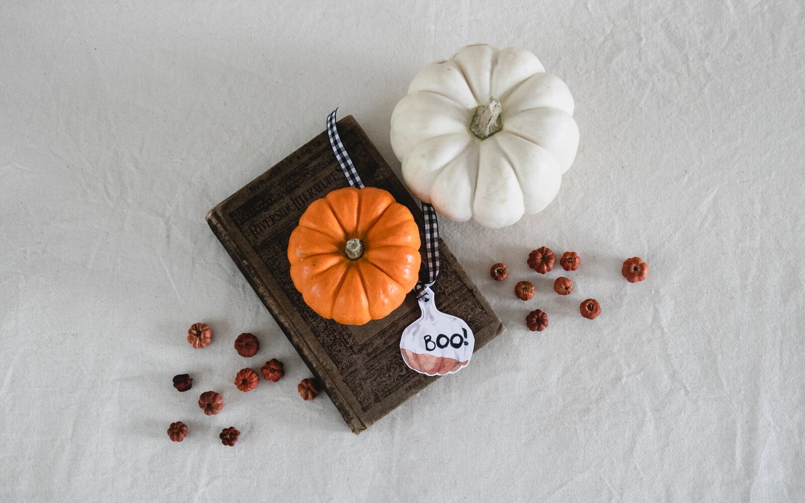 Canon EOS 80D sample photo. Pumpkins, fall, halloween photography