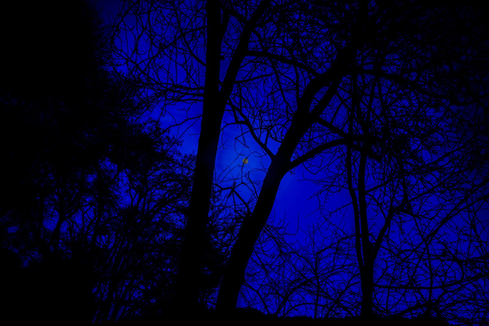 Sigma 30mm F2.8 EX DN sample photo. Night photograph, full moon photography