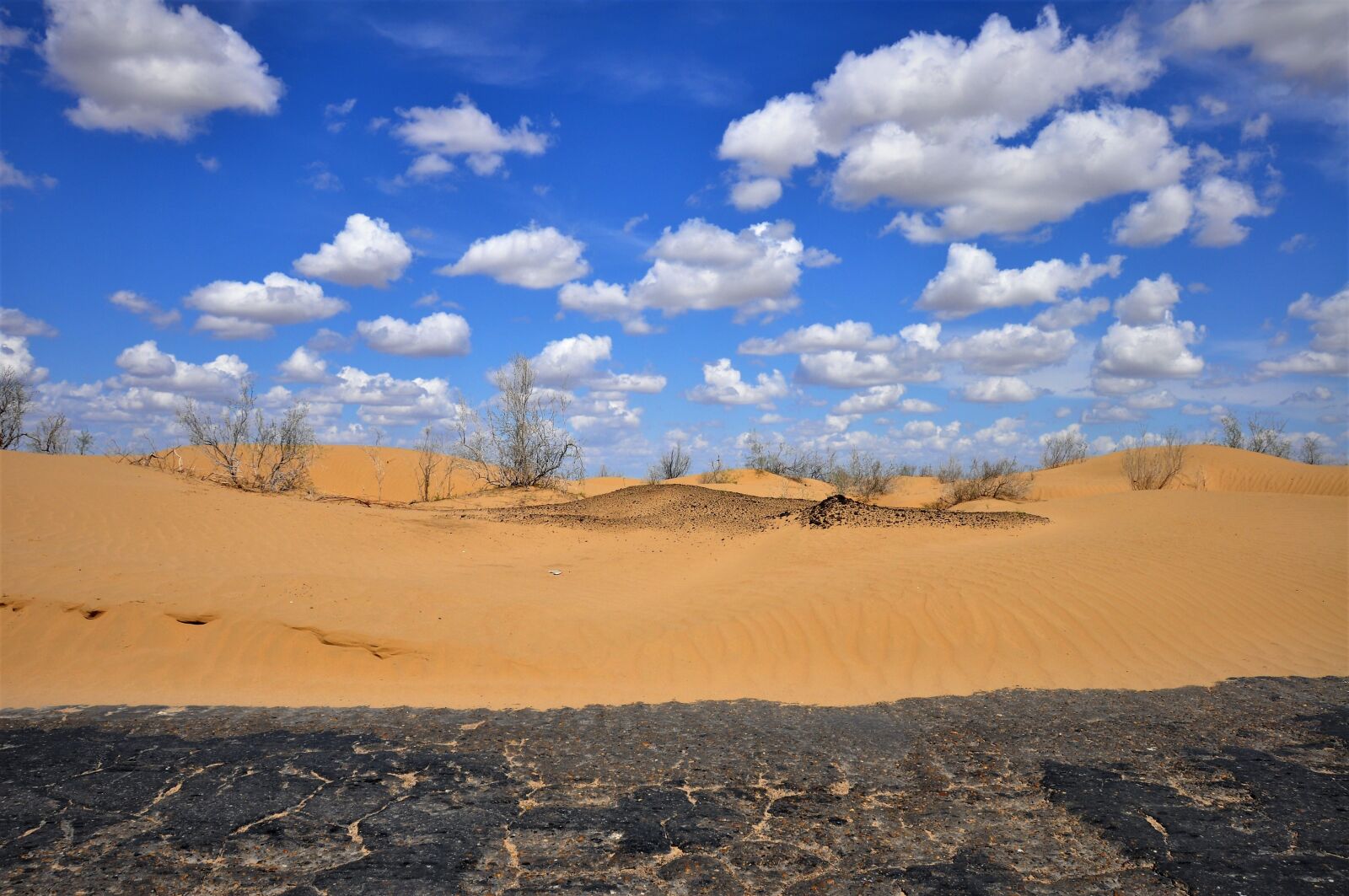 Nikon D90 sample photo. Uzbekistan, desert kyzylkum, sand photography