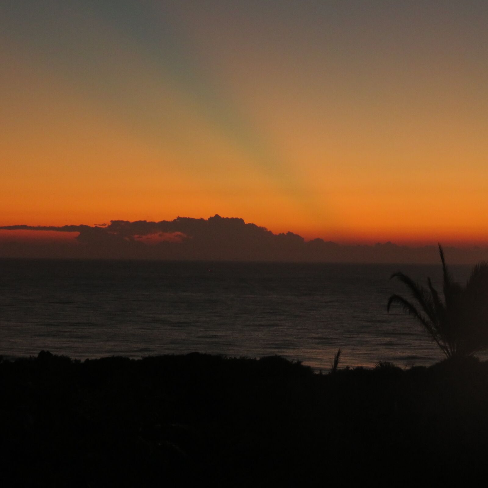 Canon PowerShot SX710 HS sample photo. Sunrise, coast, beach photography