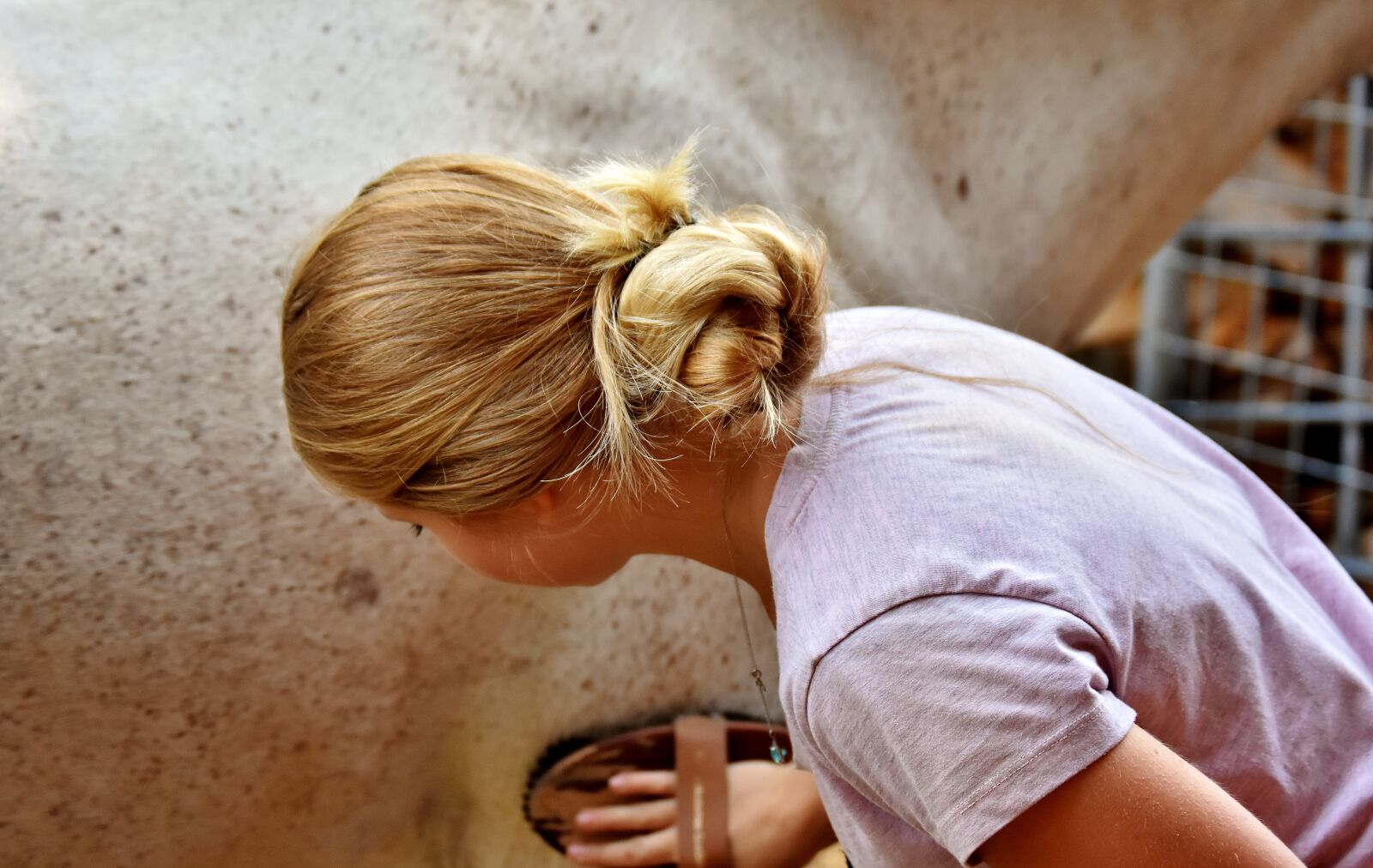 Nikon D7200 sample photo. Horse, clean, brush photography