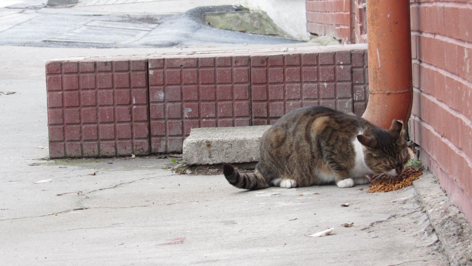 Canon PowerShot SX520 HS sample photo