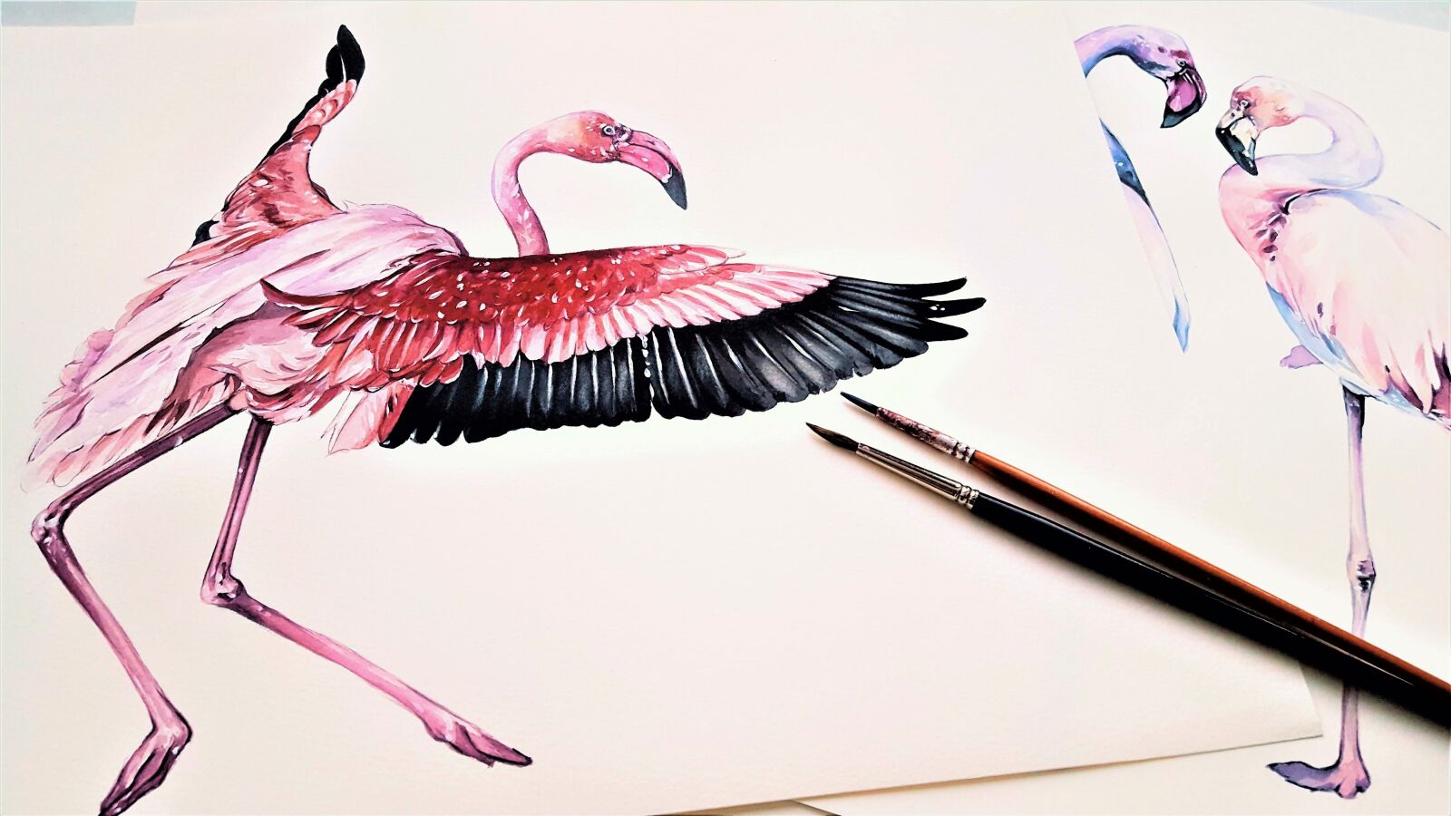 Samsung Galaxy S6 sample photo. The greater flamingo, animal photography