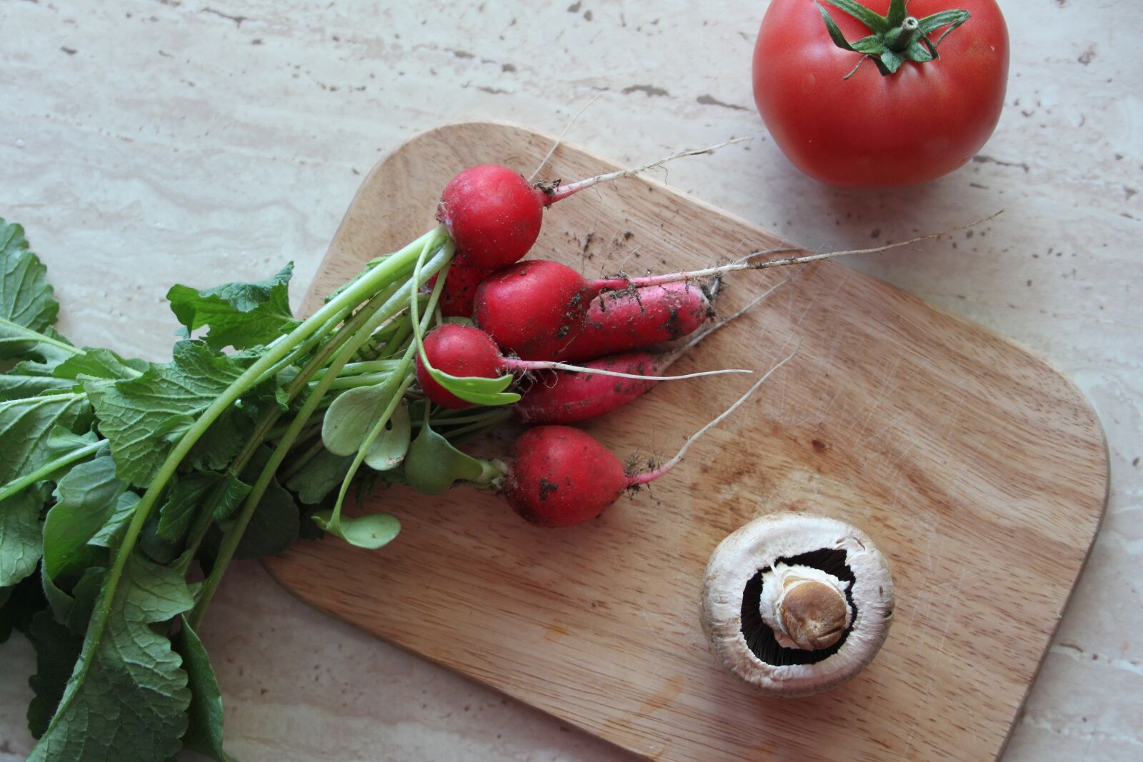 Canon EOS 500D (EOS Rebel T1i / EOS Kiss X3) sample photo. Radish, a vegetable, food photography