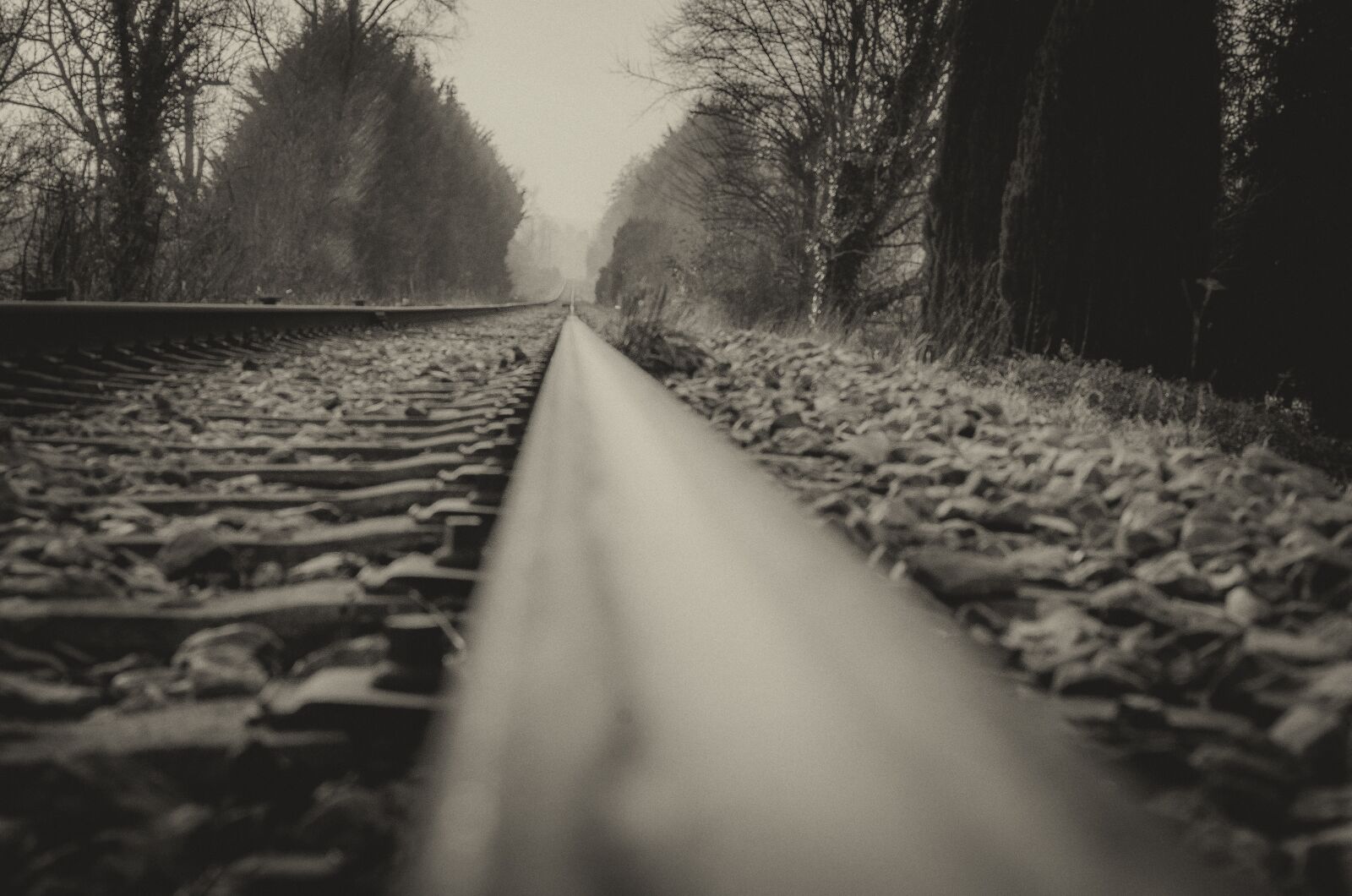 Nikon D7000 sample photo. Black, white, rail photography