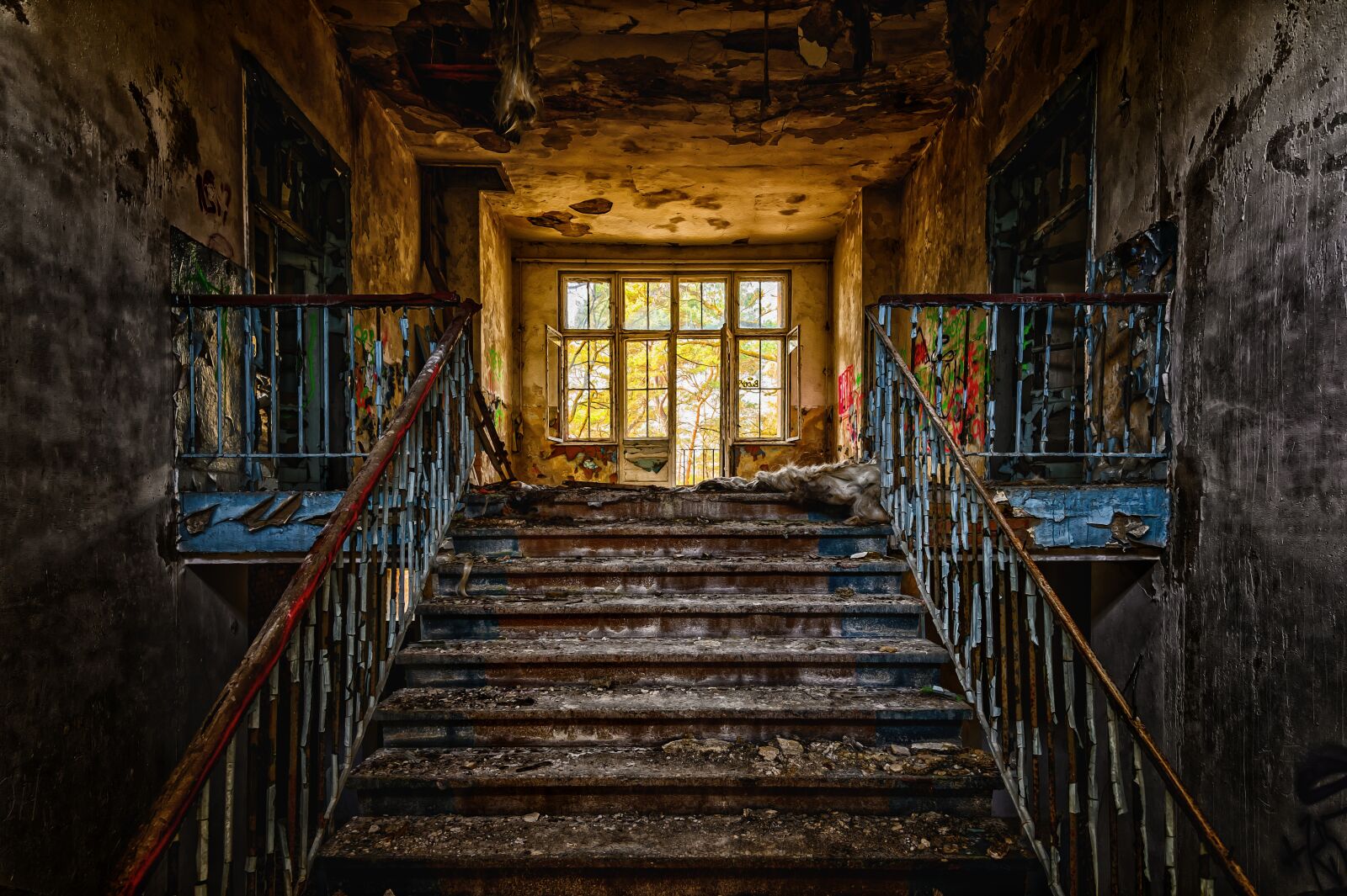 Nikon Z6 sample photo. Stairs, emergence, gradually photography