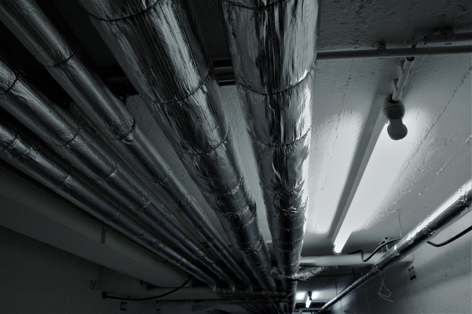 Canon EOS 1000D (EOS Digital Rebel XS / EOS Kiss F) sample photo. Lamp, light, pipes photography