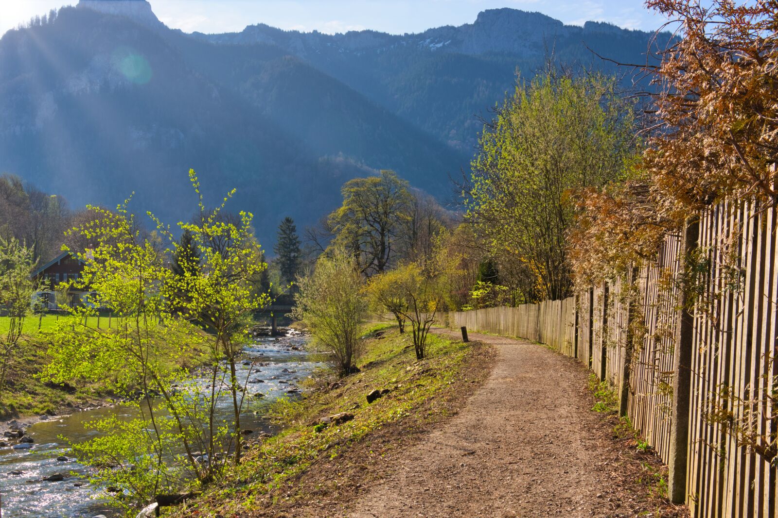 Nikon D7100 sample photo. Spring, away, path photography