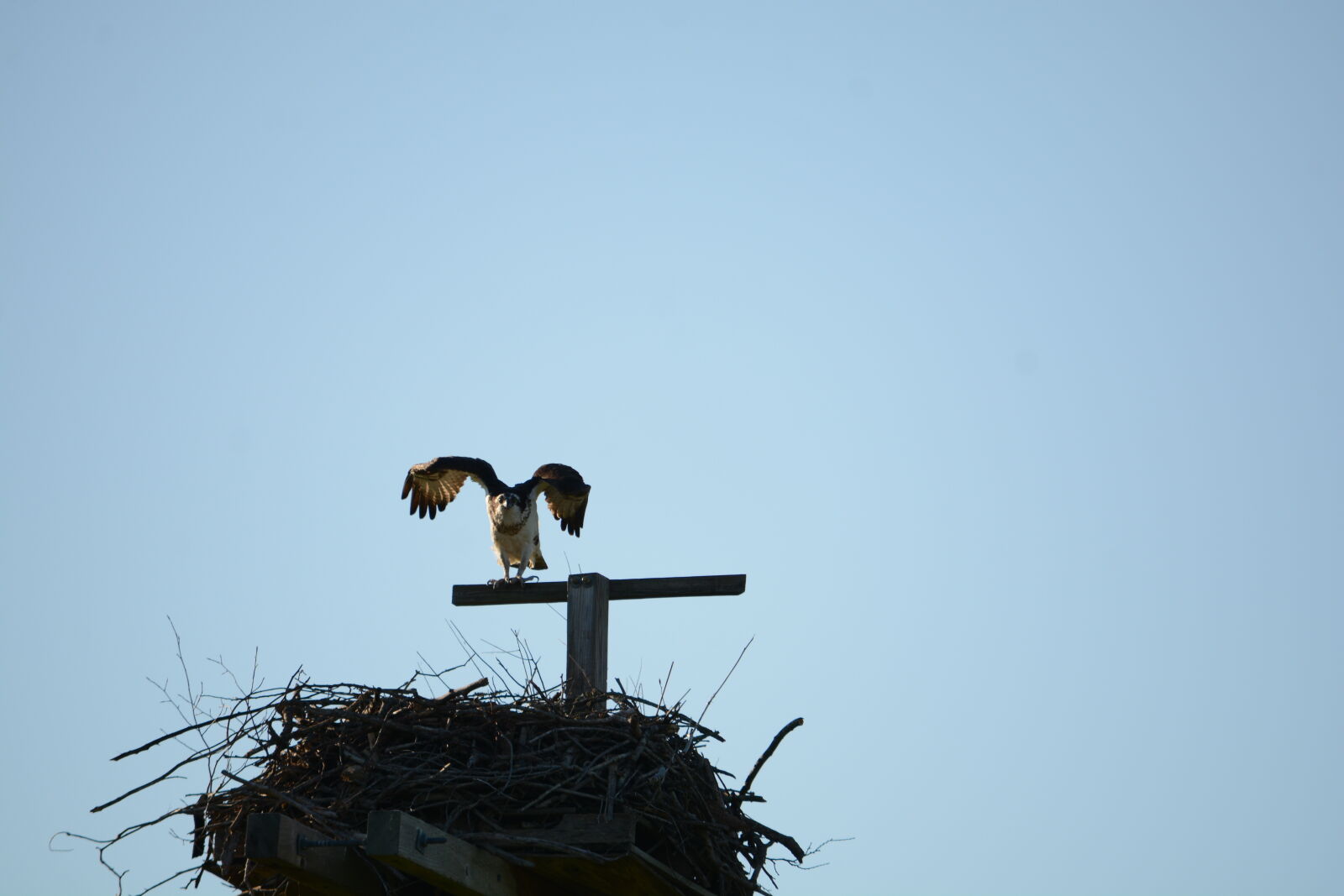 Nikon D7100 sample photo