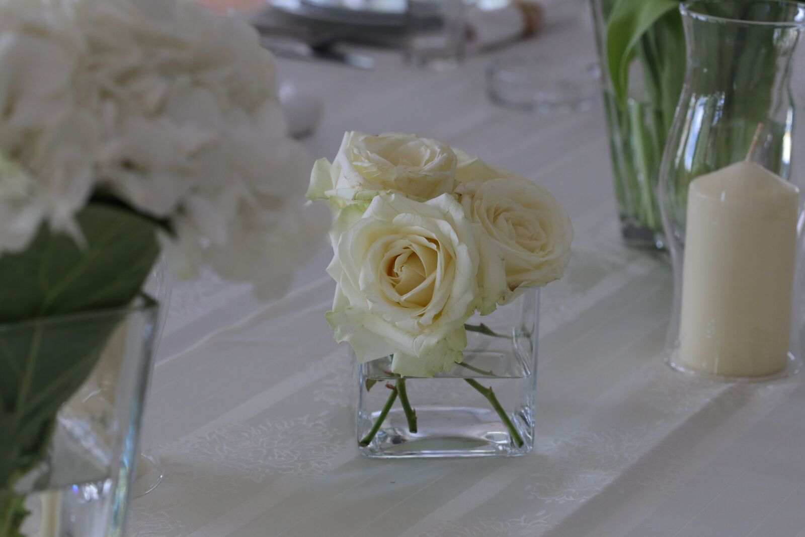 Canon EF 100mm F2.8 Macro USM sample photo. Candlestick, white flower, candles photography
