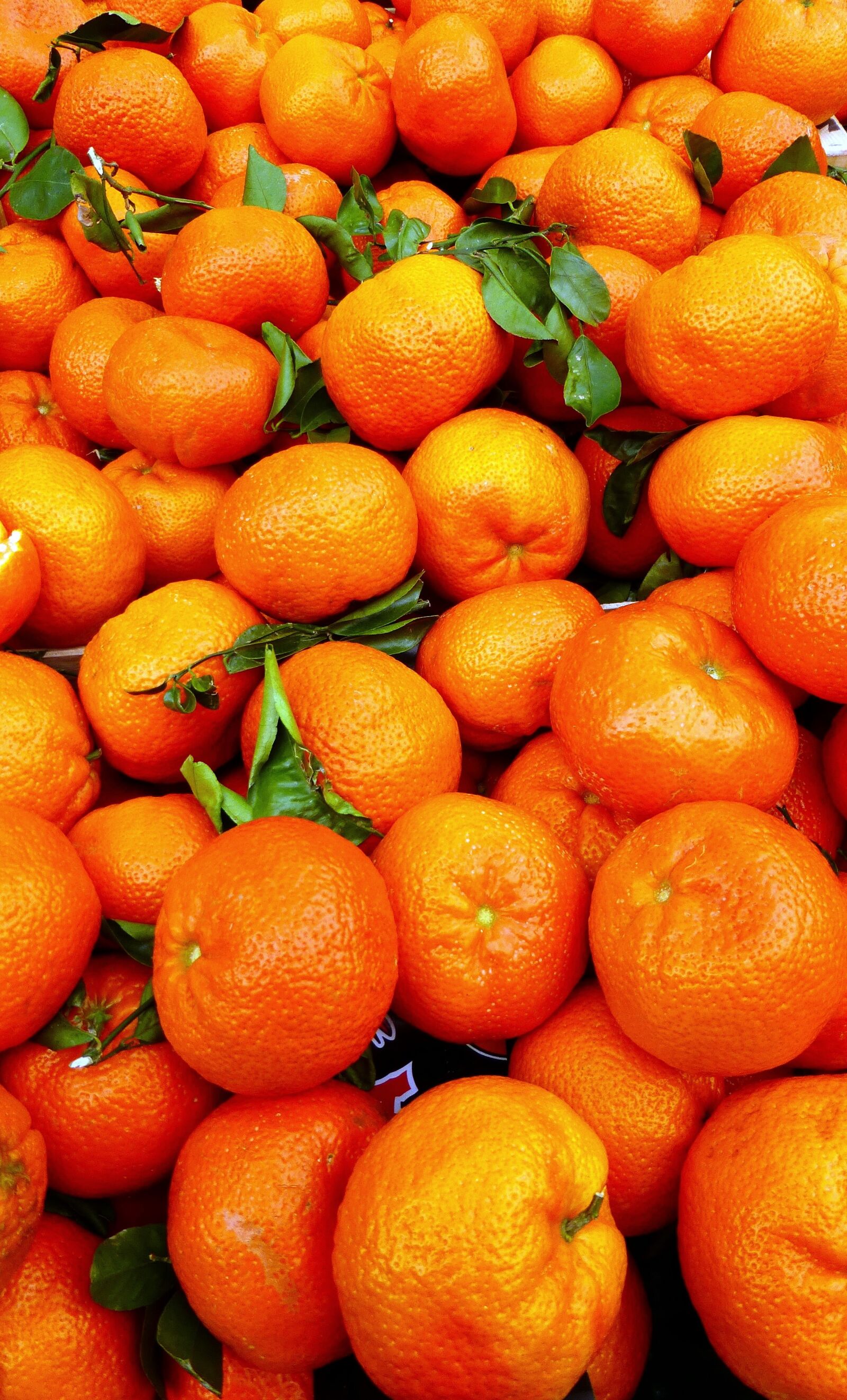 Panasonic Lumix DMC-ZS25 (Lumix DMC-TZ35) sample photo. Fruit, food, in good photography