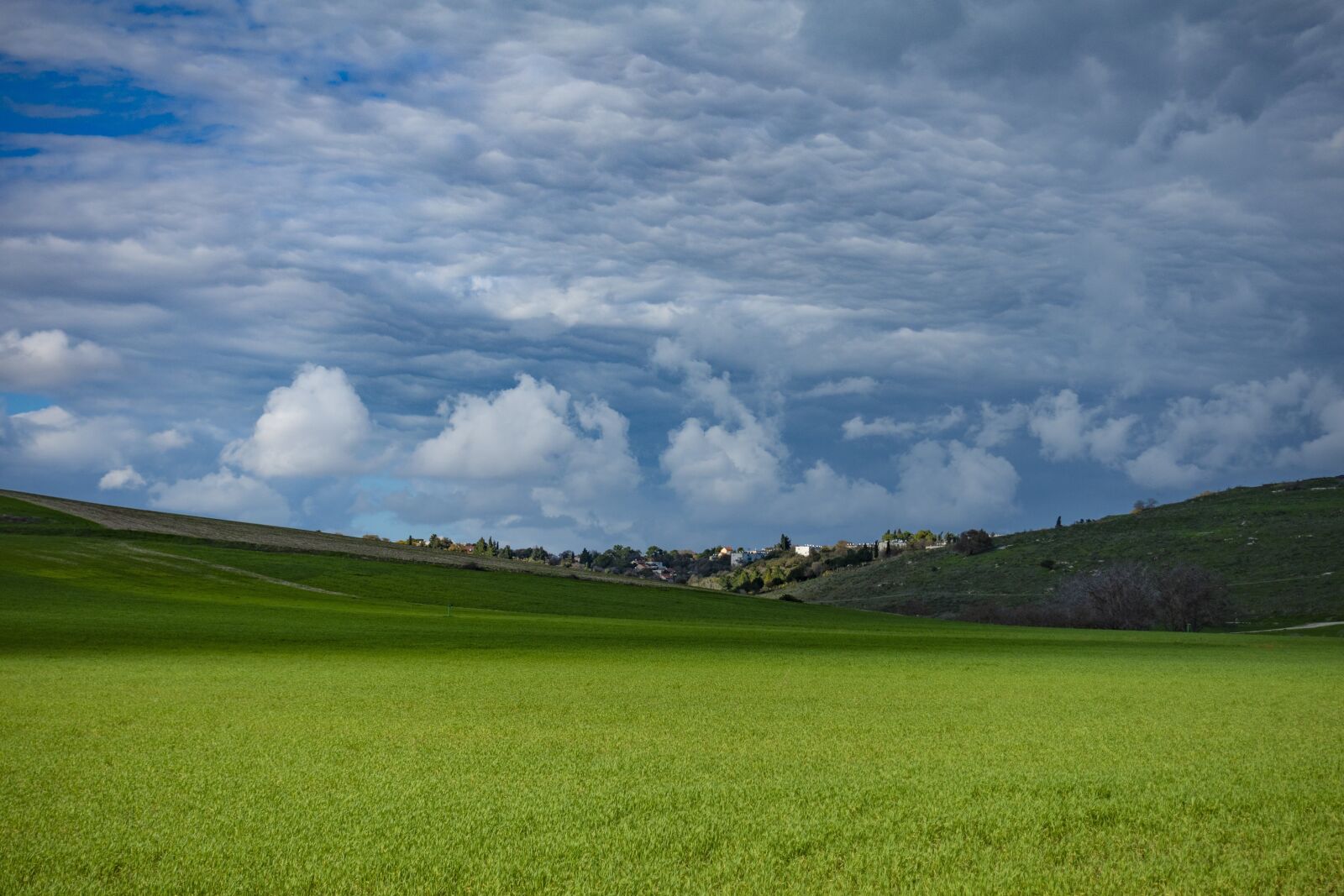 Sony Cyber-shot DSC-RX100 IV sample photo. Landscape, countryside, field photography
