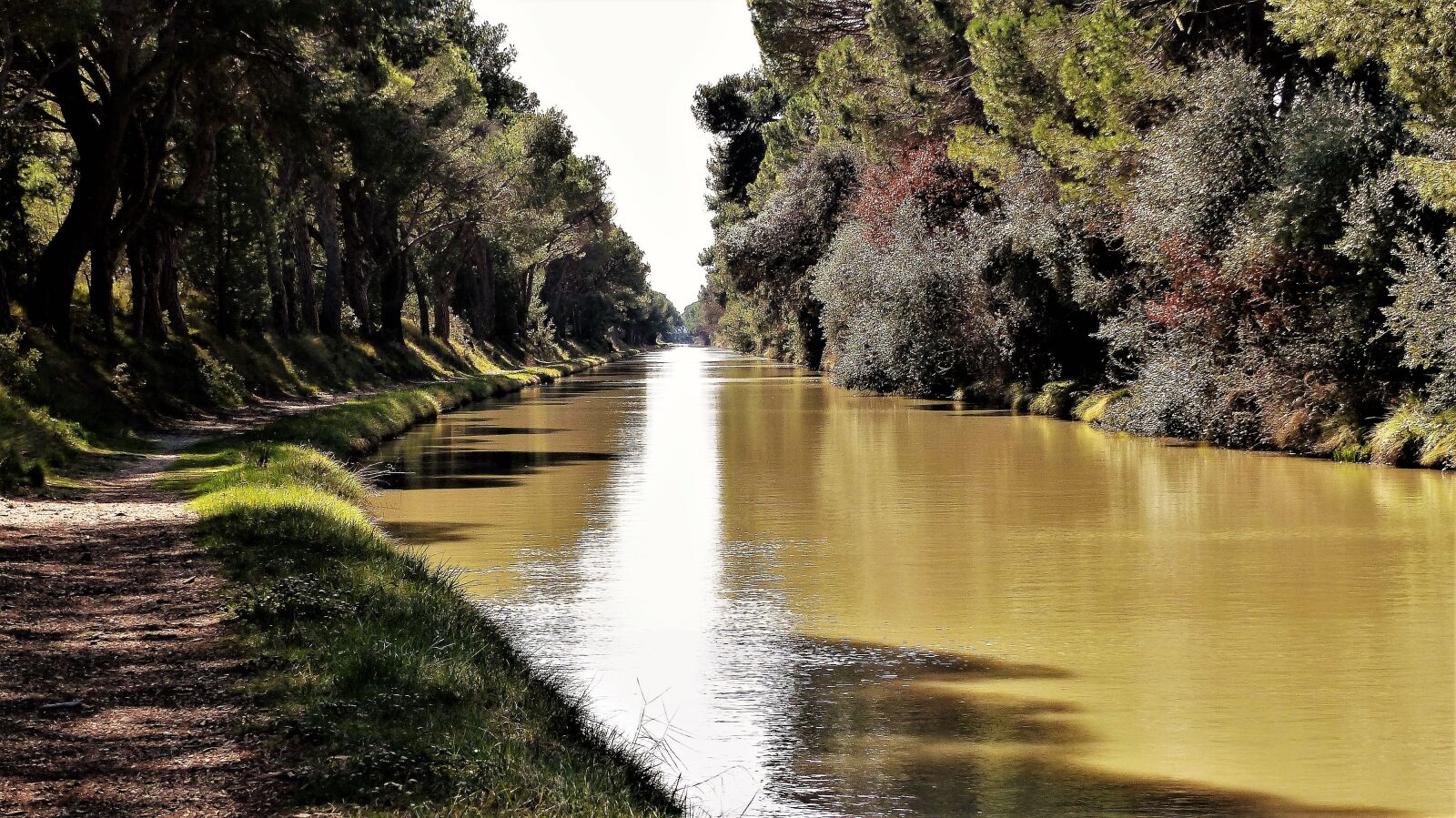 Panasonic Lumix DMC-FZ200 sample photo. Nature, france, aude photography