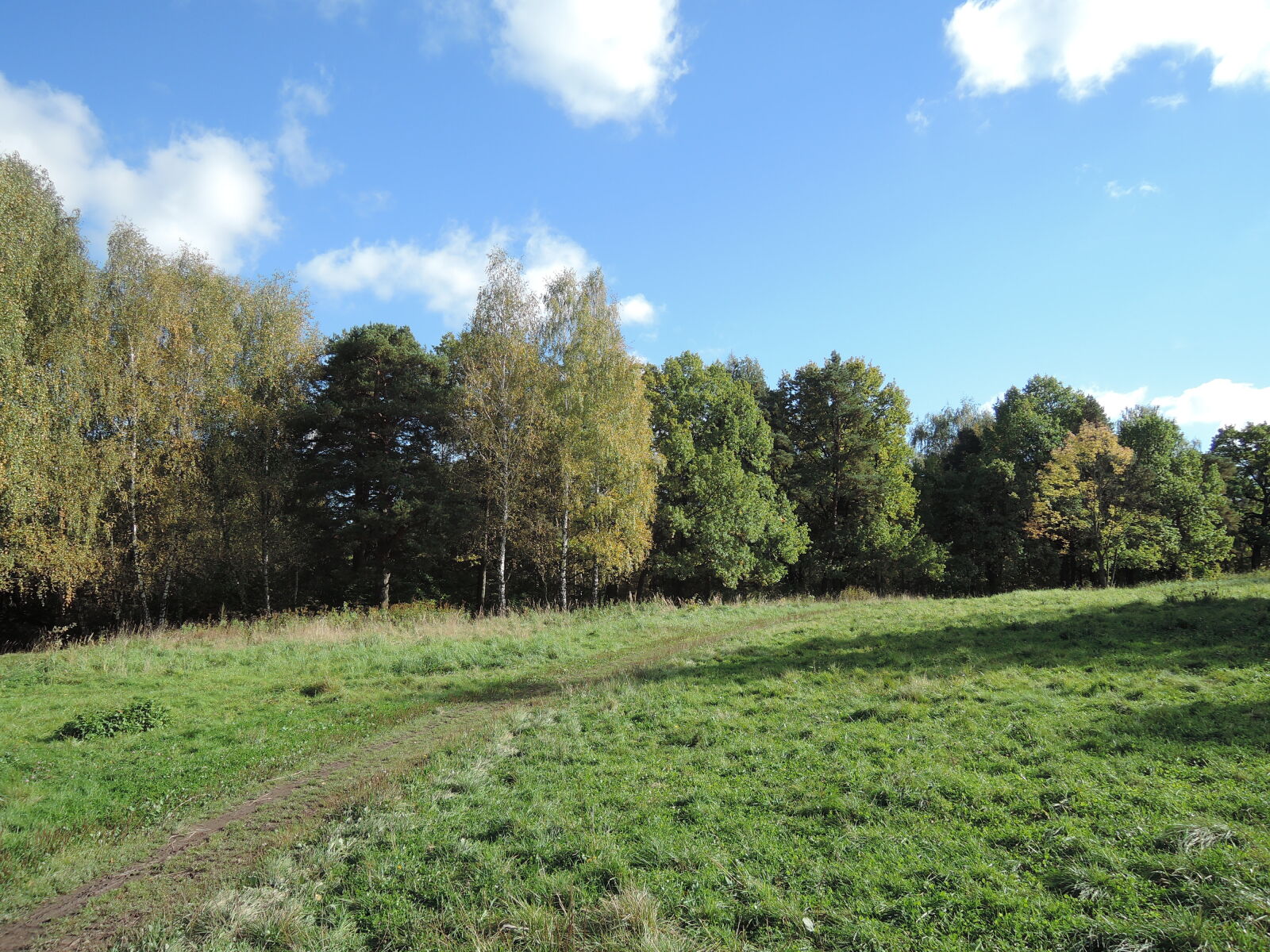 Nikon Coolpix P330 sample photo. Forest, green, landscape, nature photography