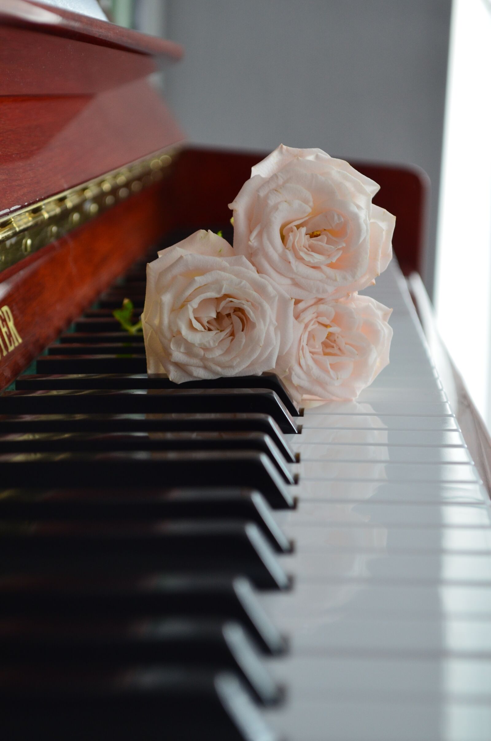 Nikon D5100 sample photo. Piano, keyboard, white photography