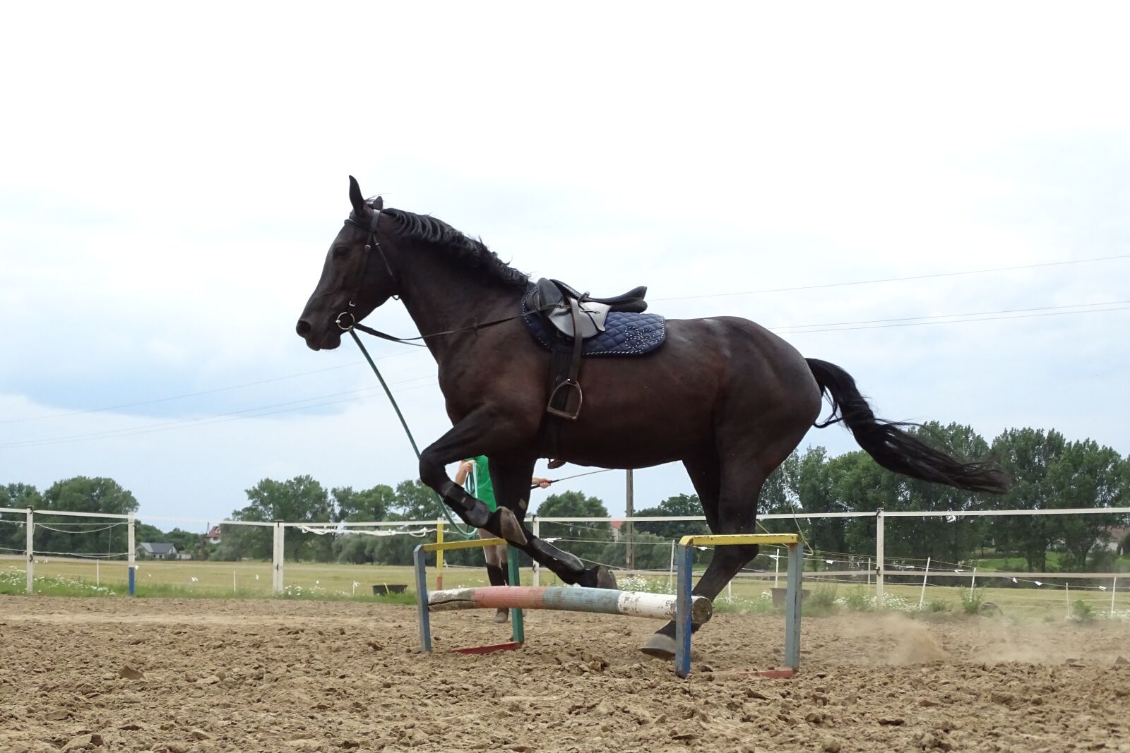 Sony Cyber-shot DSC-HX400V sample photo. The horse, mare, horse photography