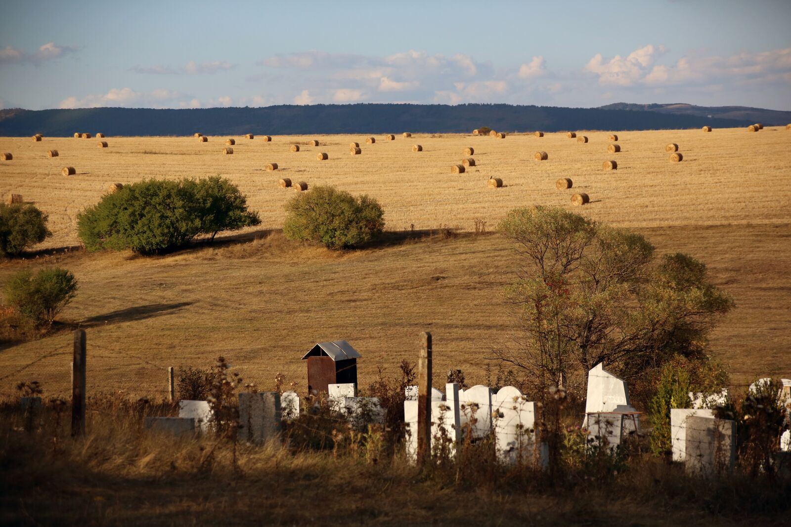 Canon EOS 5D Mark III sample photo. Autumn, field, in the photography