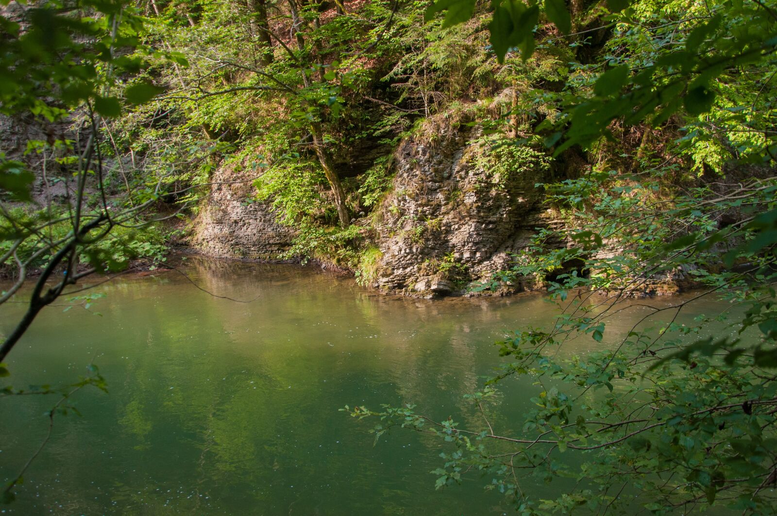 Nikon D90 sample photo. River, water, reflections photography
