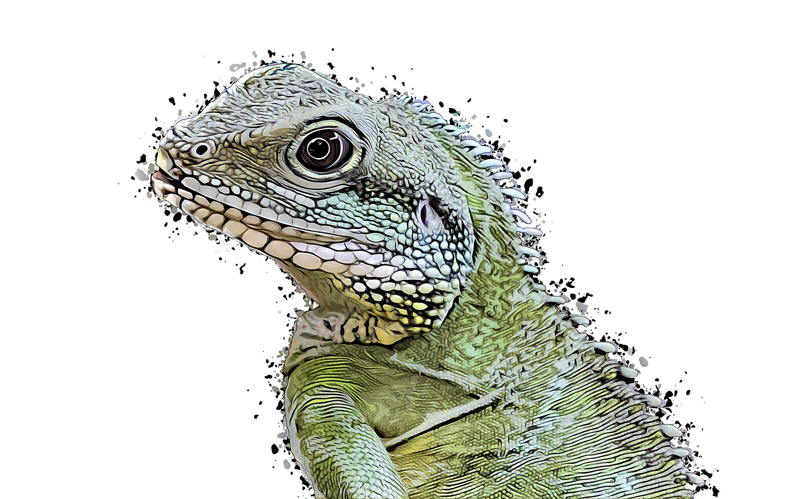 Canon EOS 700D (EOS Rebel T5i / EOS Kiss X7i) sample photo. Lizard, animal, reptile photography