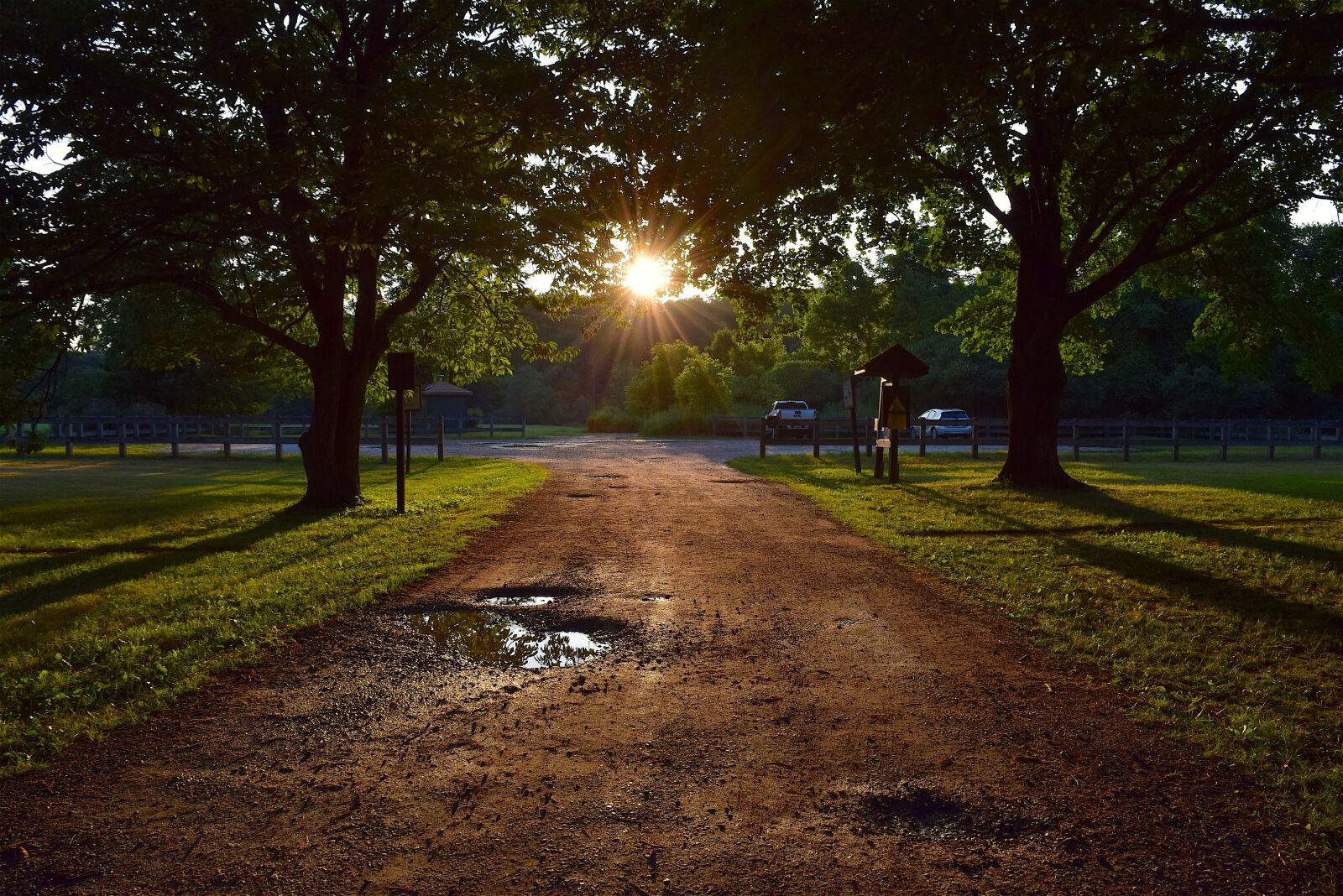 Nikon D3300 sample photo. Trees, path, sunset photography