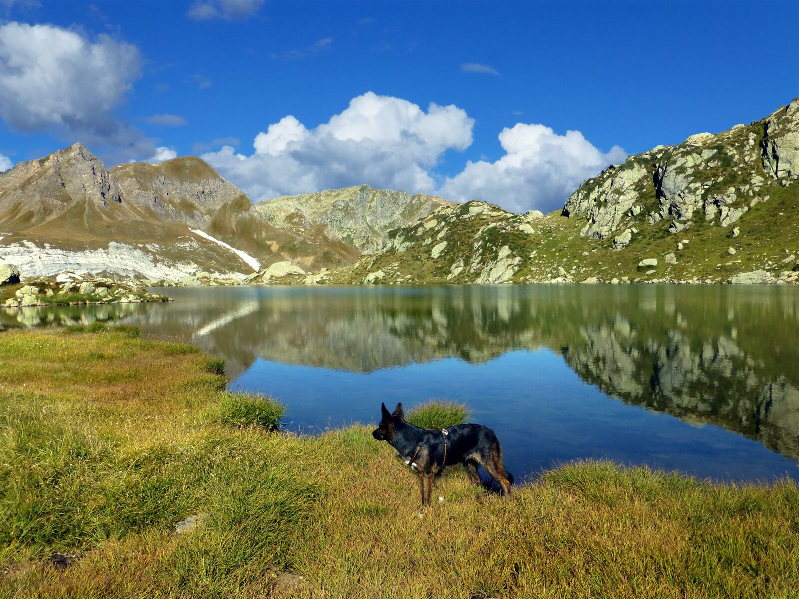 Panasonic DMC-TZ31 sample photo. High mountains, bergsee, mirroring photography