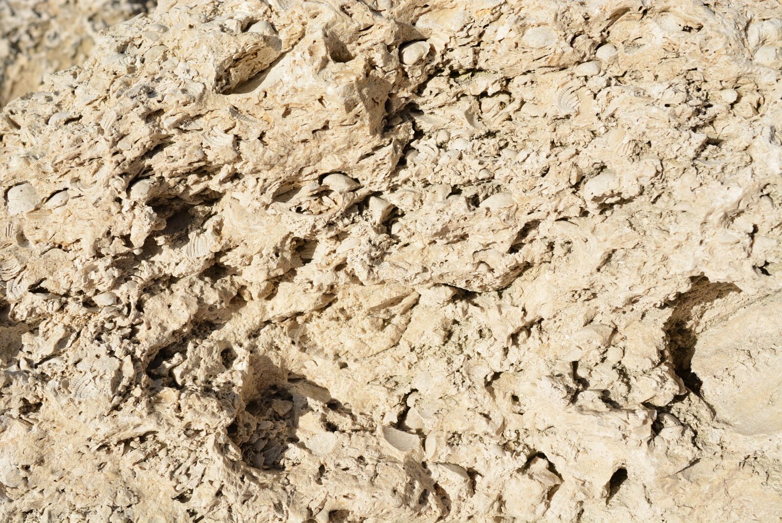Nikon D7100 sample photo. Rock, stone, texture photography
