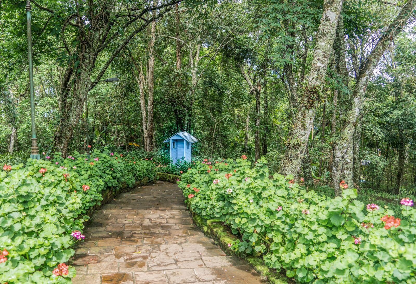 Sony a7R II + Sony FE 24-240mm F3.5-6.3 OSS sample photo. Botanical garden, stone path photography