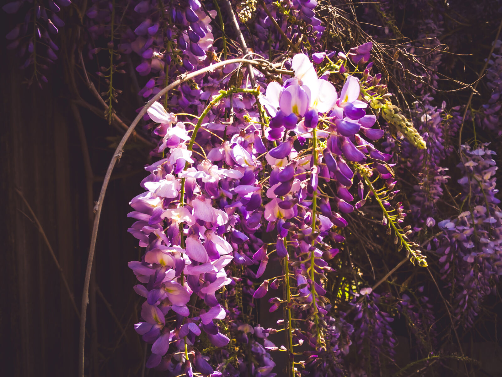 rob-deezy-robdeezy-photography-explorecams-community