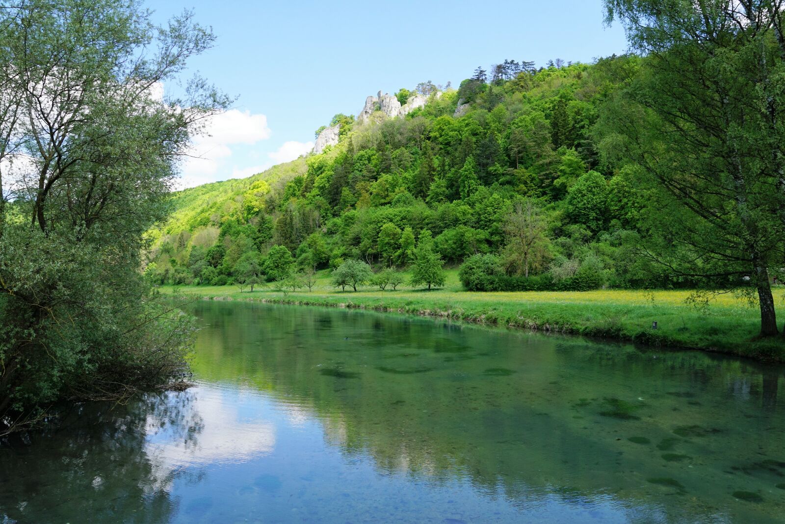 Sony ILCA-77M2 + Sony DT 16-50mm F2.8 SSM sample photo. Blaubeuren, germany, nature photography