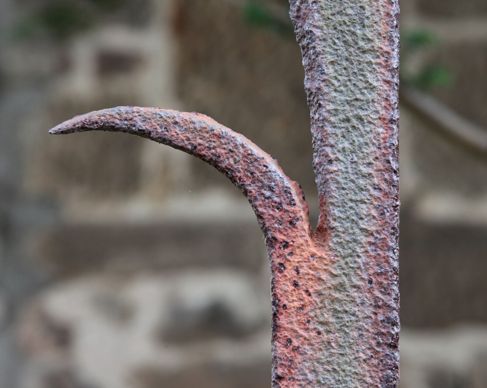 Canon EOS 5D Mark II sample photo. Wrought iron, fence, iron photography