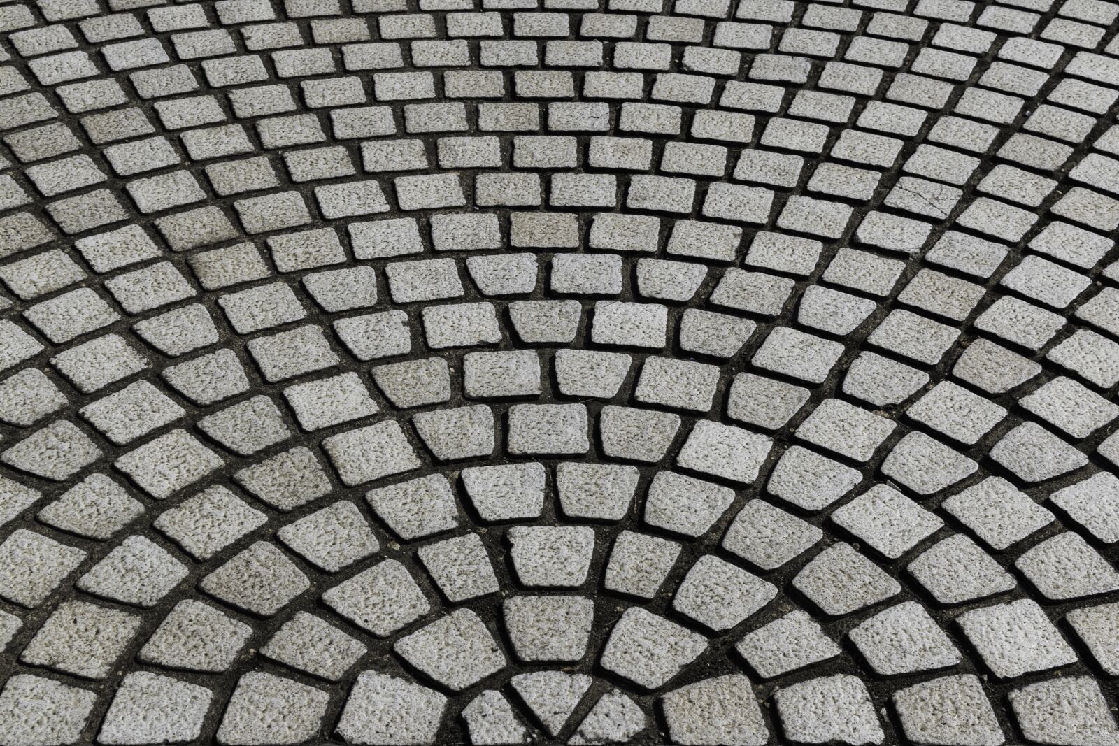 Nikon D5500 sample photo. Pattern, abstract, shape photography