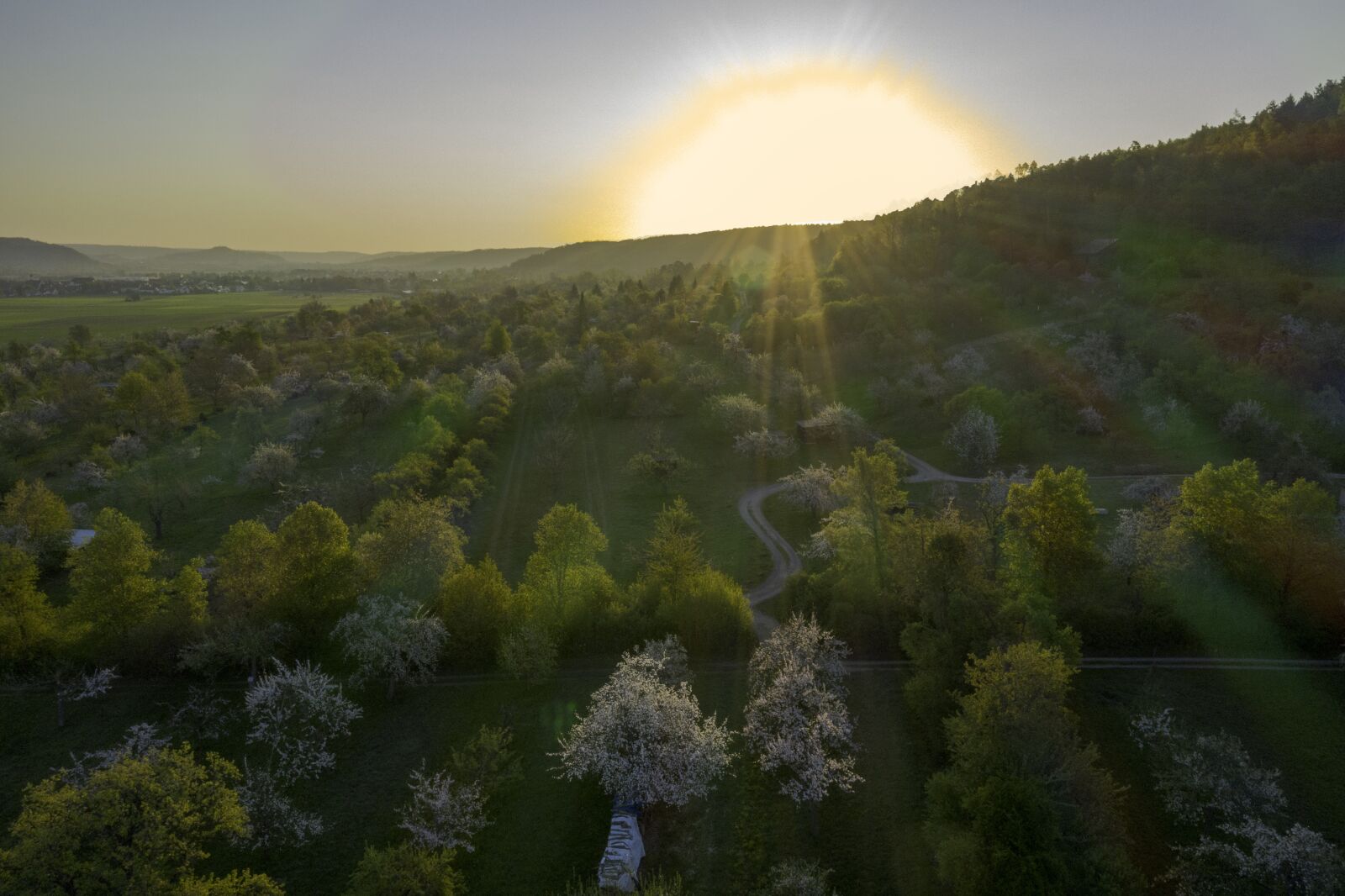 Hasselblad L1D-20c sample photo. Sunrise, spring, nature photography