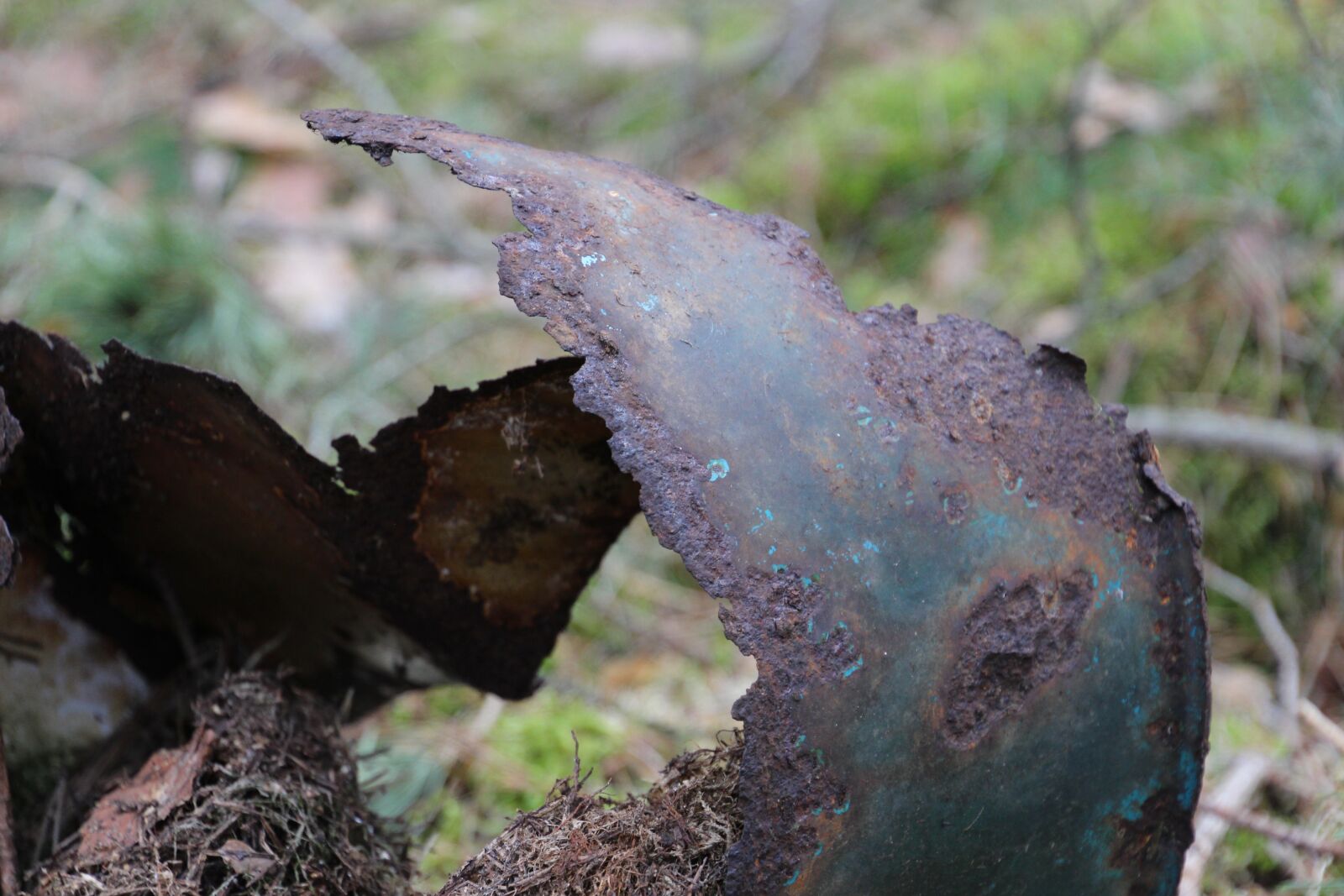 Canon EOS 650D (EOS Rebel T4i / EOS Kiss X6i) sample photo. Bucket, rust, forest photography