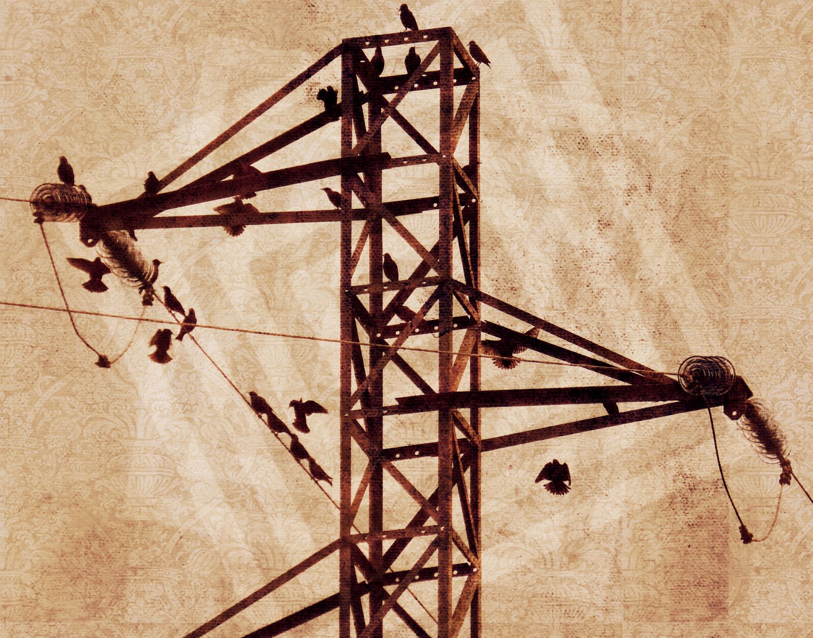 Panasonic DMC-FZ62 sample photo. Electrical tower, birds, cables photography