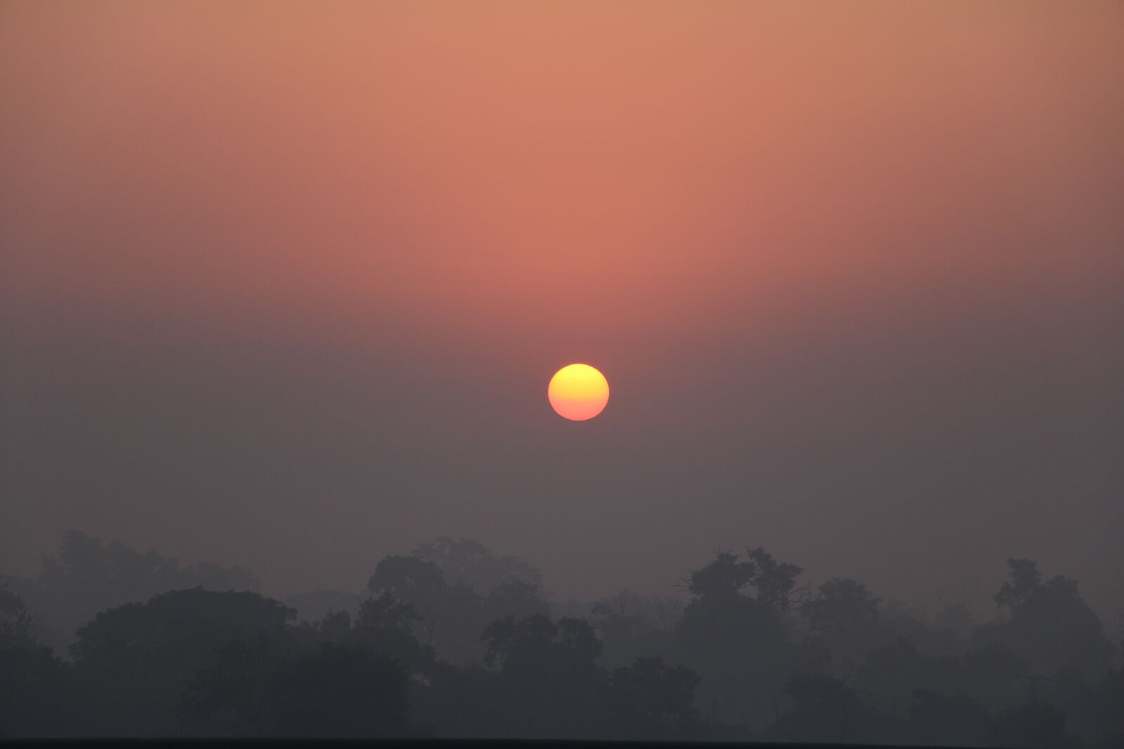 Canon EOS 70D sample photo. Sunrise, nature, morning photography