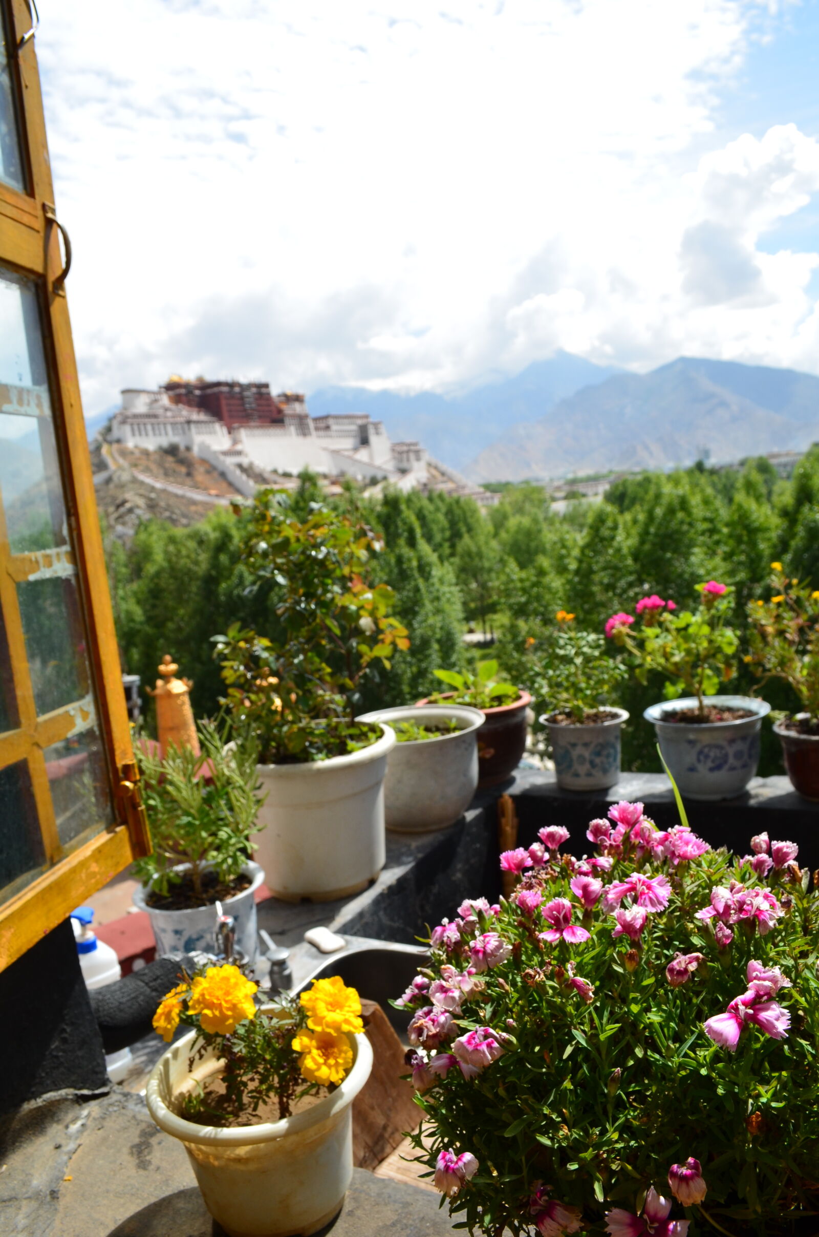 Nikon D5100 sample photo. Balcony, flowers photography