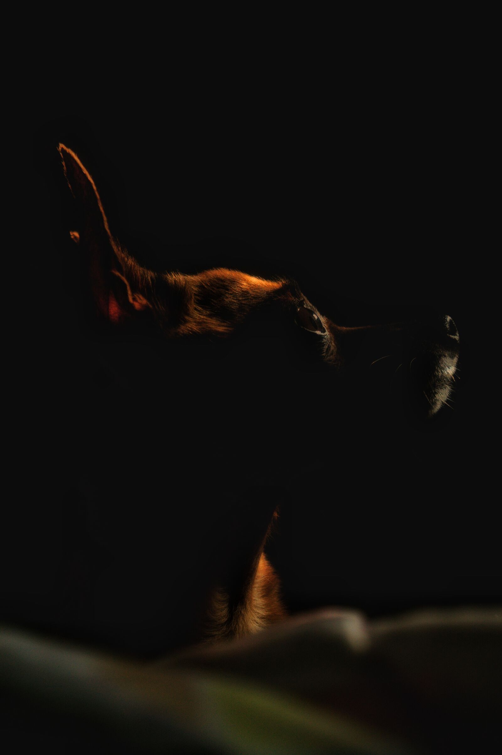 Nikon D3200 sample photo