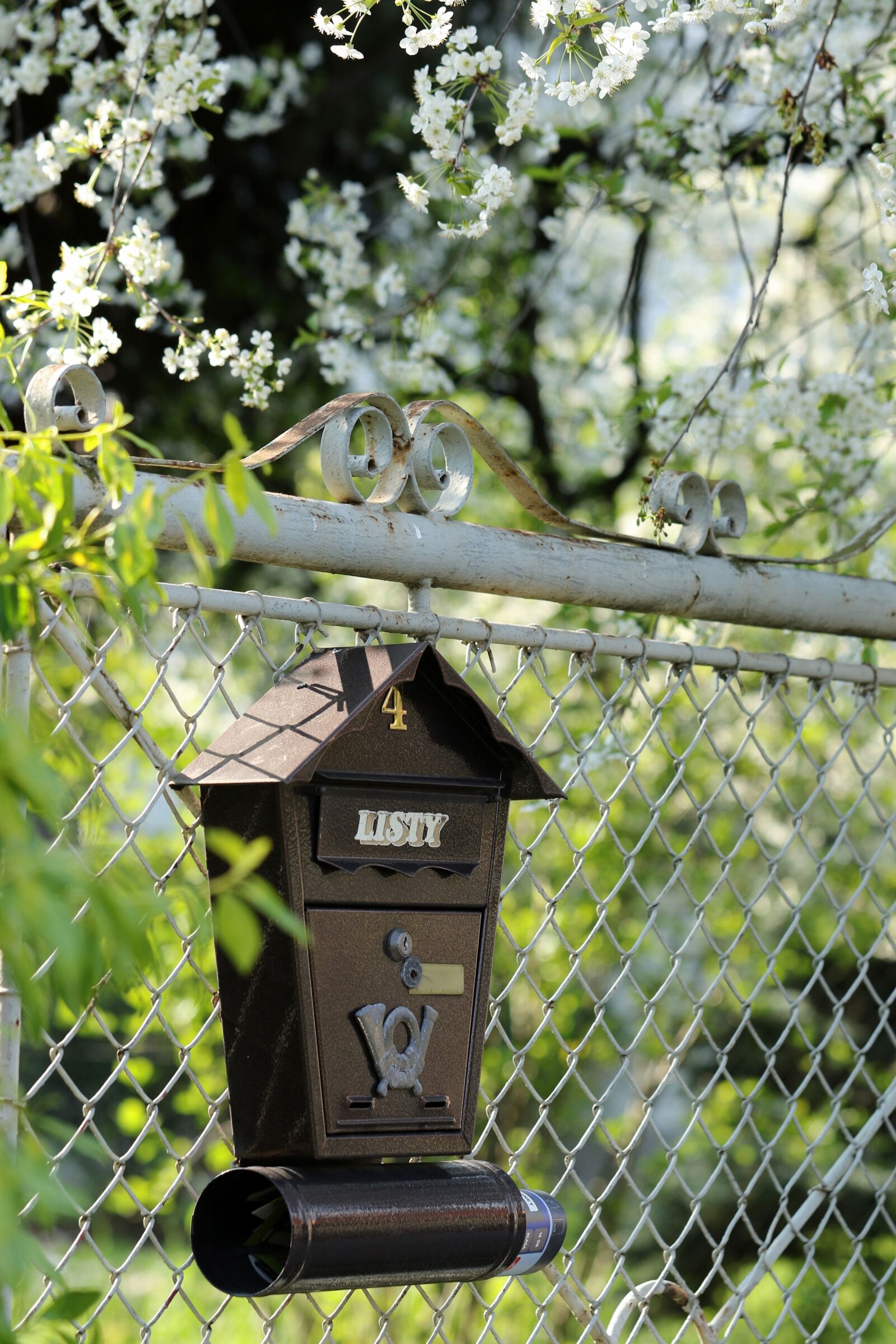 Canon EOS 7D Mark II sample photo. Spring, mailbox, cherry photography